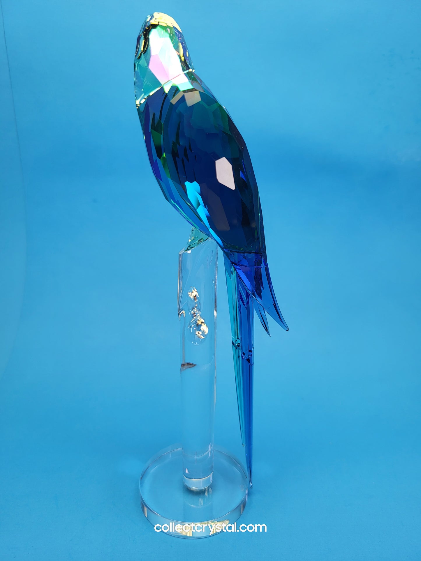 Bird JUNGLE BEATS – GREEN MACAW BANJO Bird # 5557849