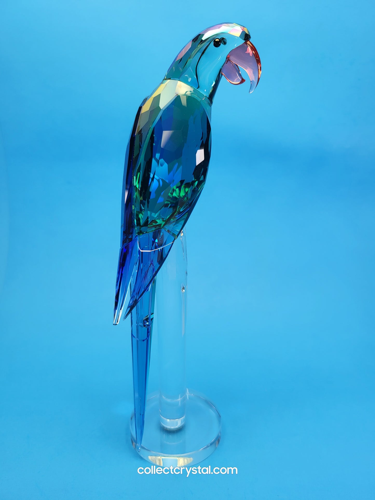 Bird JUNGLE BEATS – GREEN MACAW BANJO Bird # 5557849