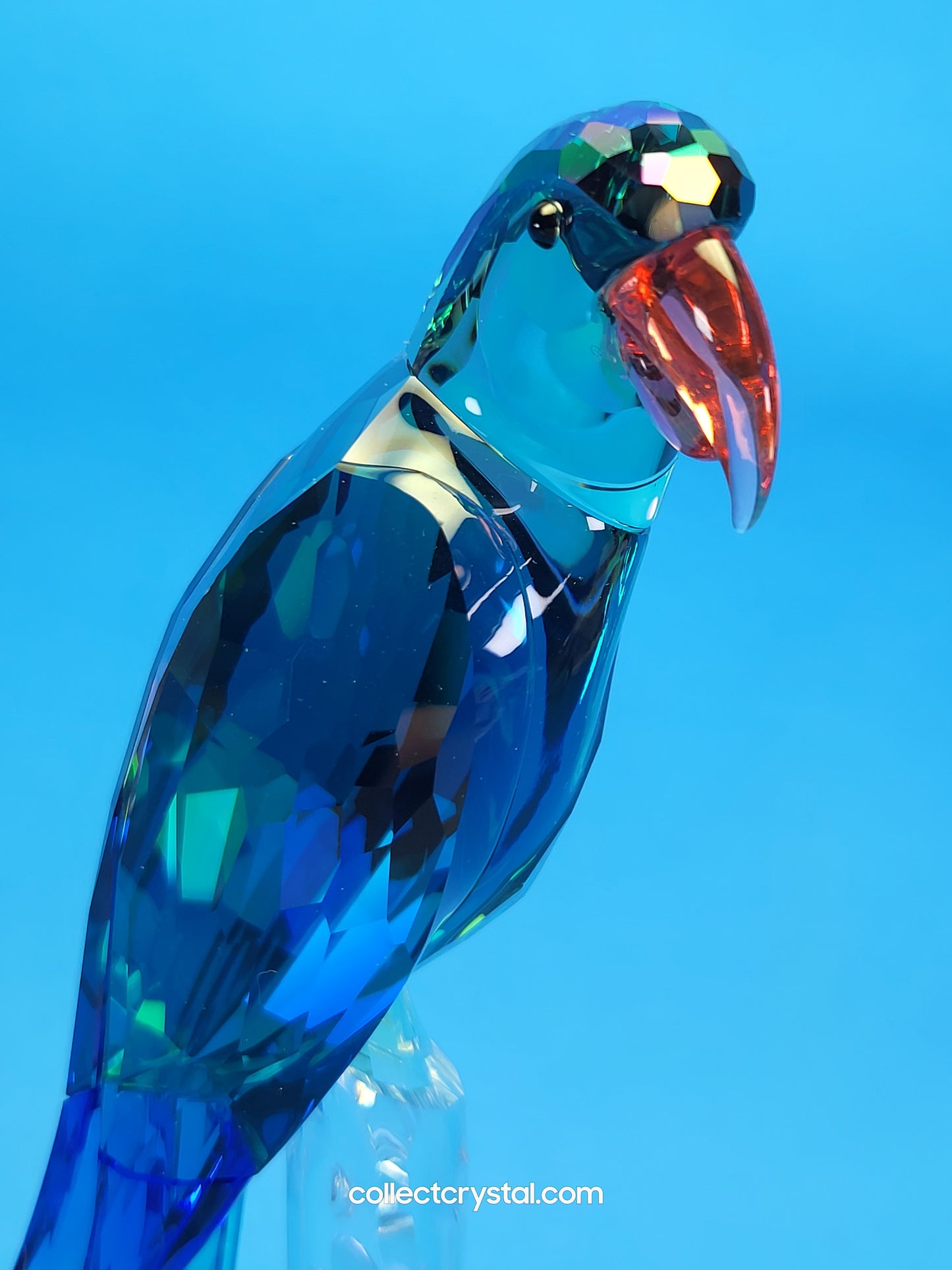 Bird JUNGLE BEATS – GREEN MACAW BANJO Bird # 5557849