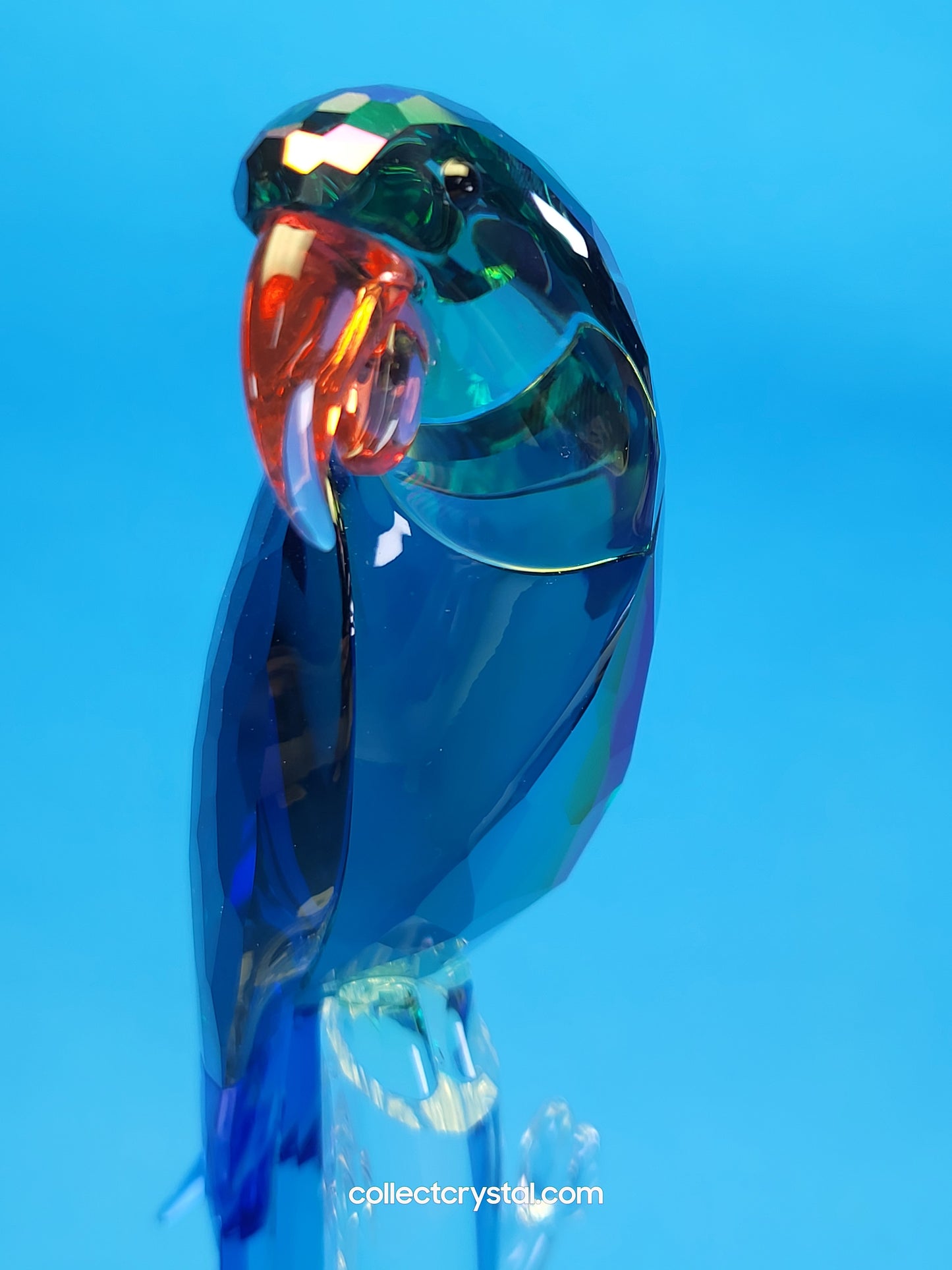 Bird JUNGLE BEATS – GREEN MACAW BANJO Bird # 5557849