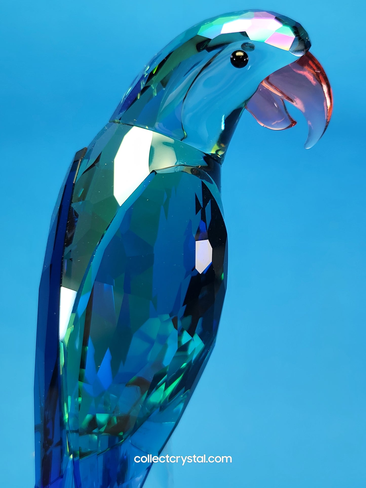 Bird JUNGLE BEATS – GREEN MACAW BANJO Bird # 5557849