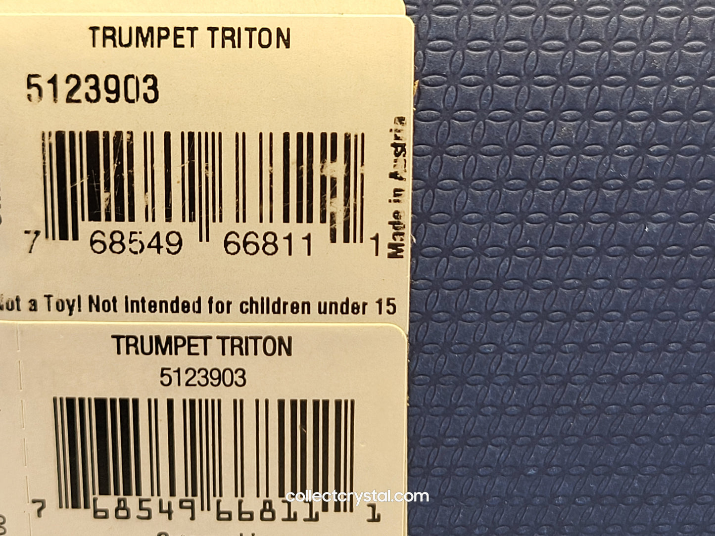 TRUMPET TRITON 5123903 sea shell