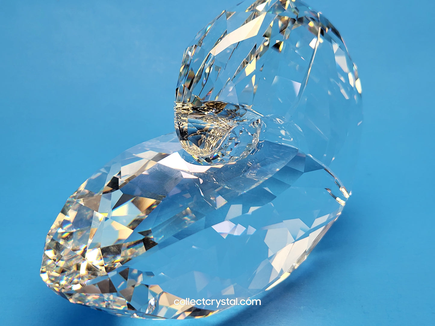 NAUTILUS 5123902 SEA SHELL
