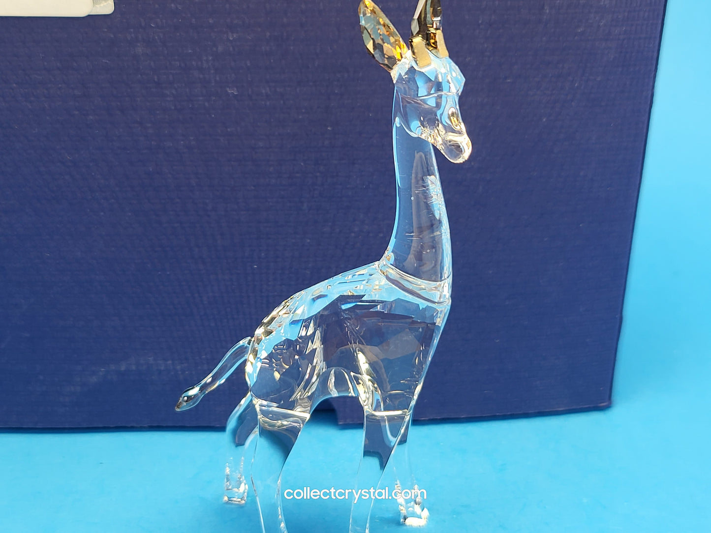 AFRICAN SUNSET – GIRAFFE NOHEA 5557858