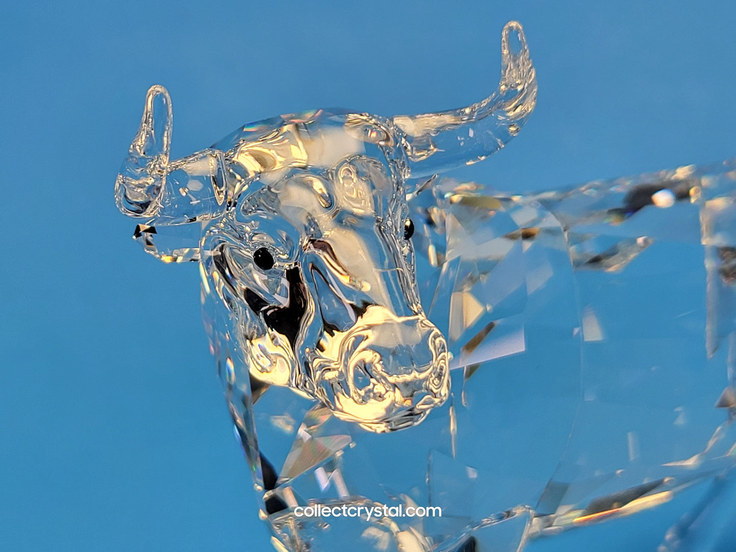 BULL (2018) 5365721 Male Cattle Cow