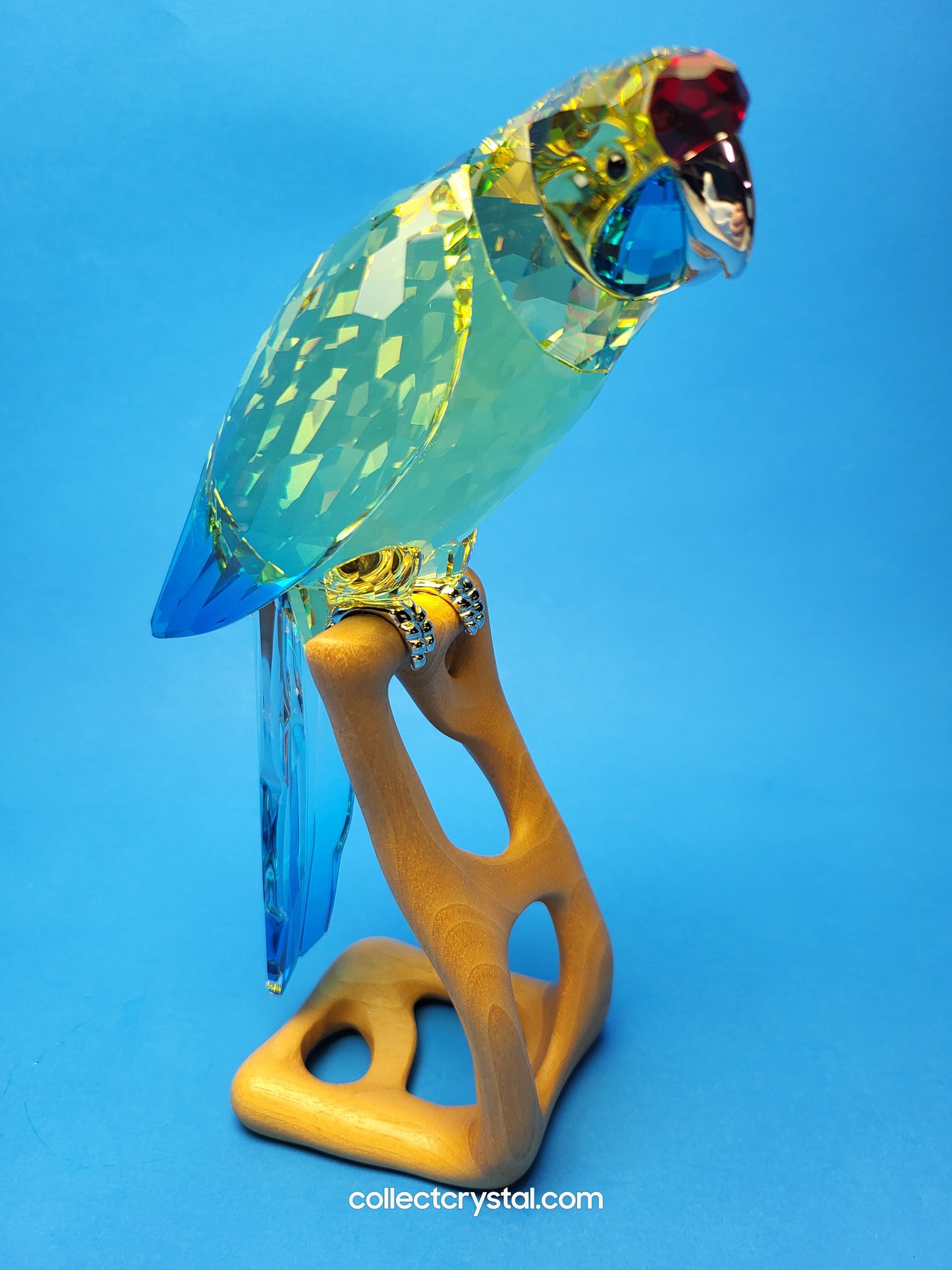 Paradise Birds -Green Rosella Jonquil Parrot Bird # 901601