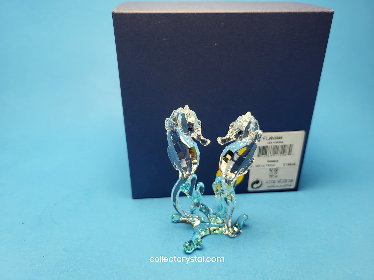 SEA HORSES / SEAHORSES 885589 on blue coral
