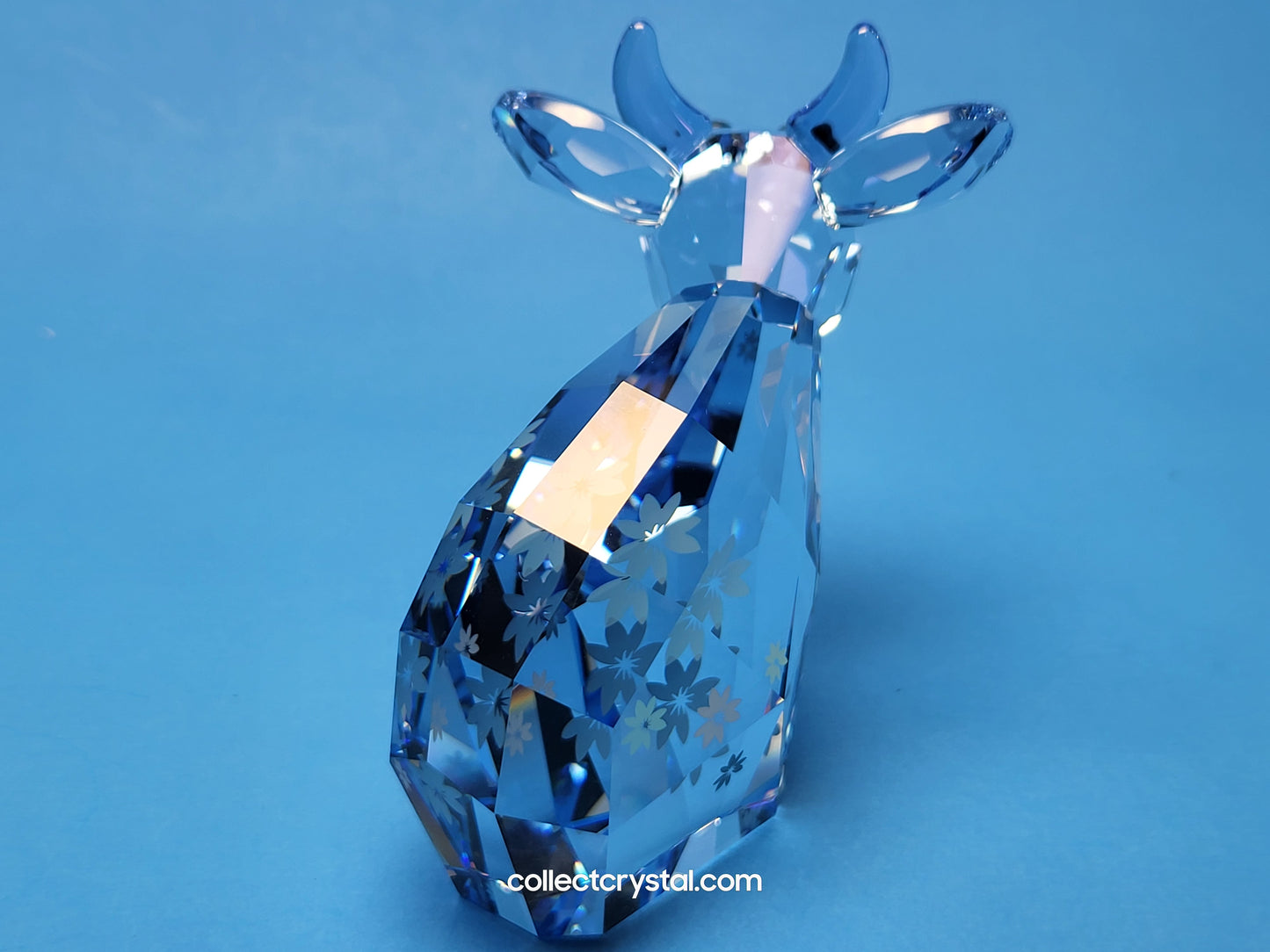 LOVLOTS BELLE MO (MEDIUM) # 1041285