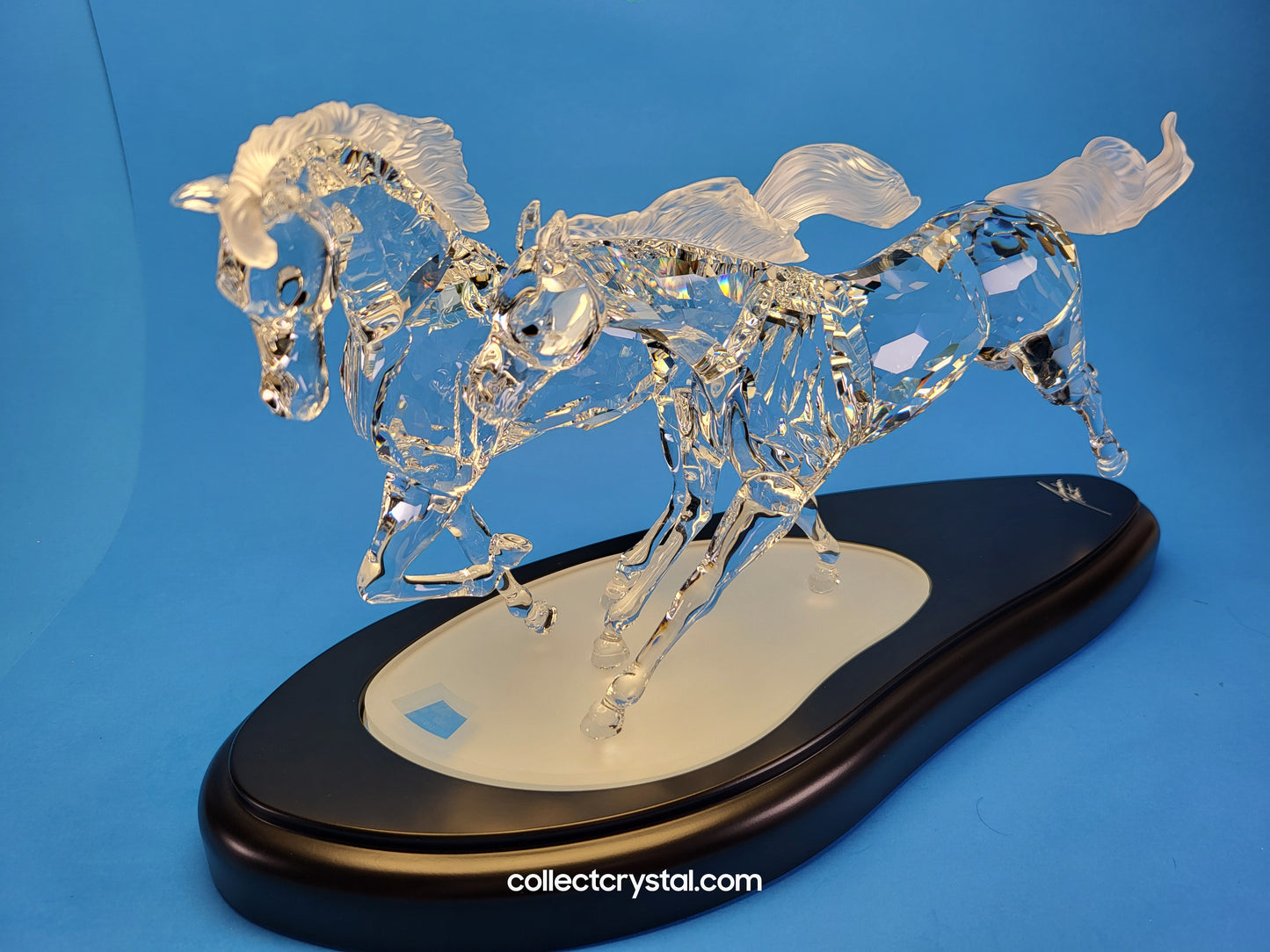 The Wild Horses, # 236720 SCS 2001 Limited Edition 5978 / 10k