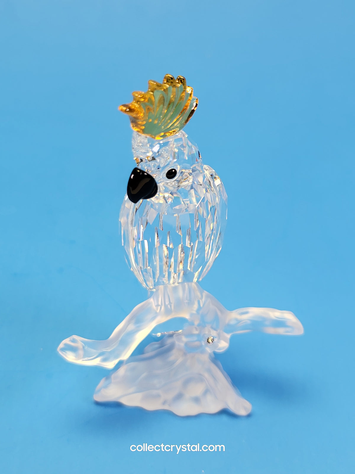 Cockatoo Parrot Bird # 261635