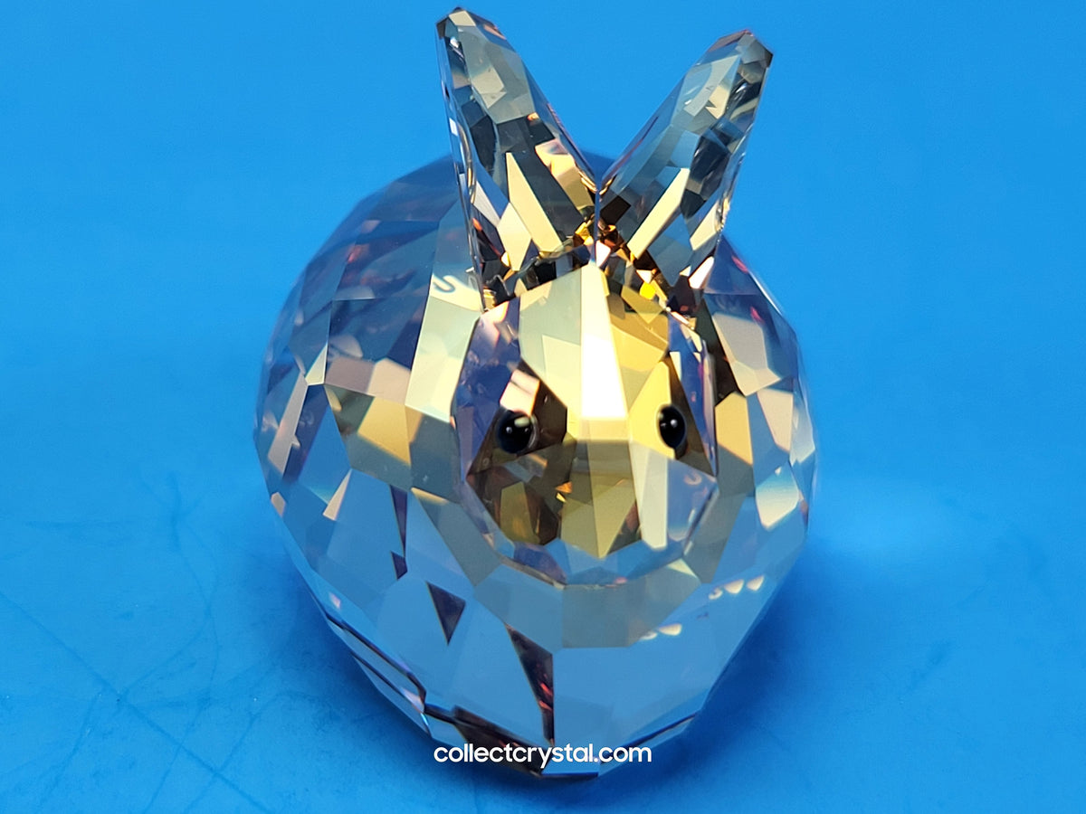 HARE GOLDEN SHADOW 1089876 Bunny Rabbit