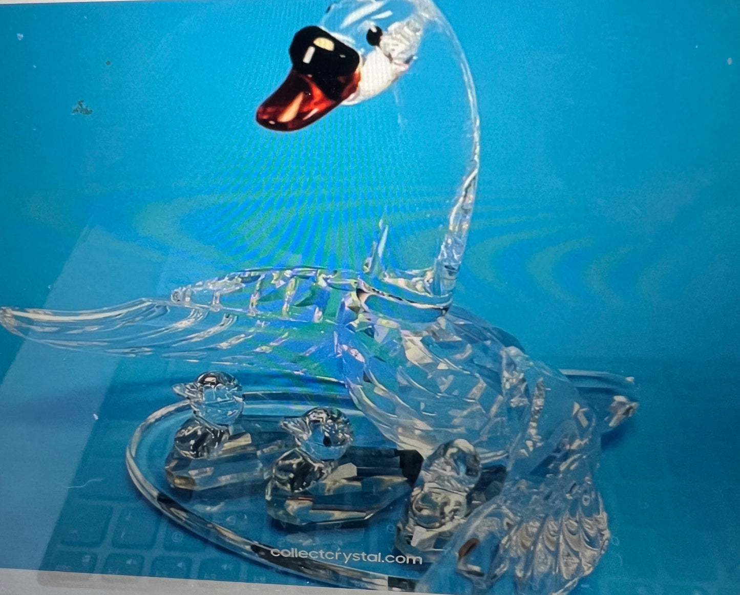SWAN FAMILY 243373