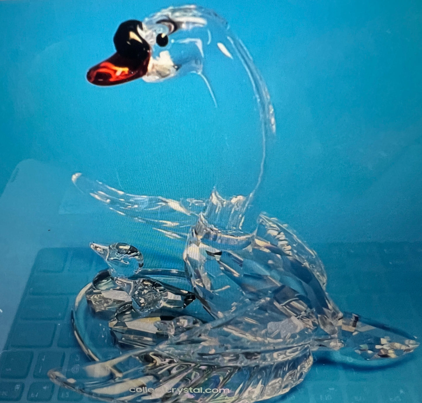 SWAN FAMILY 243373