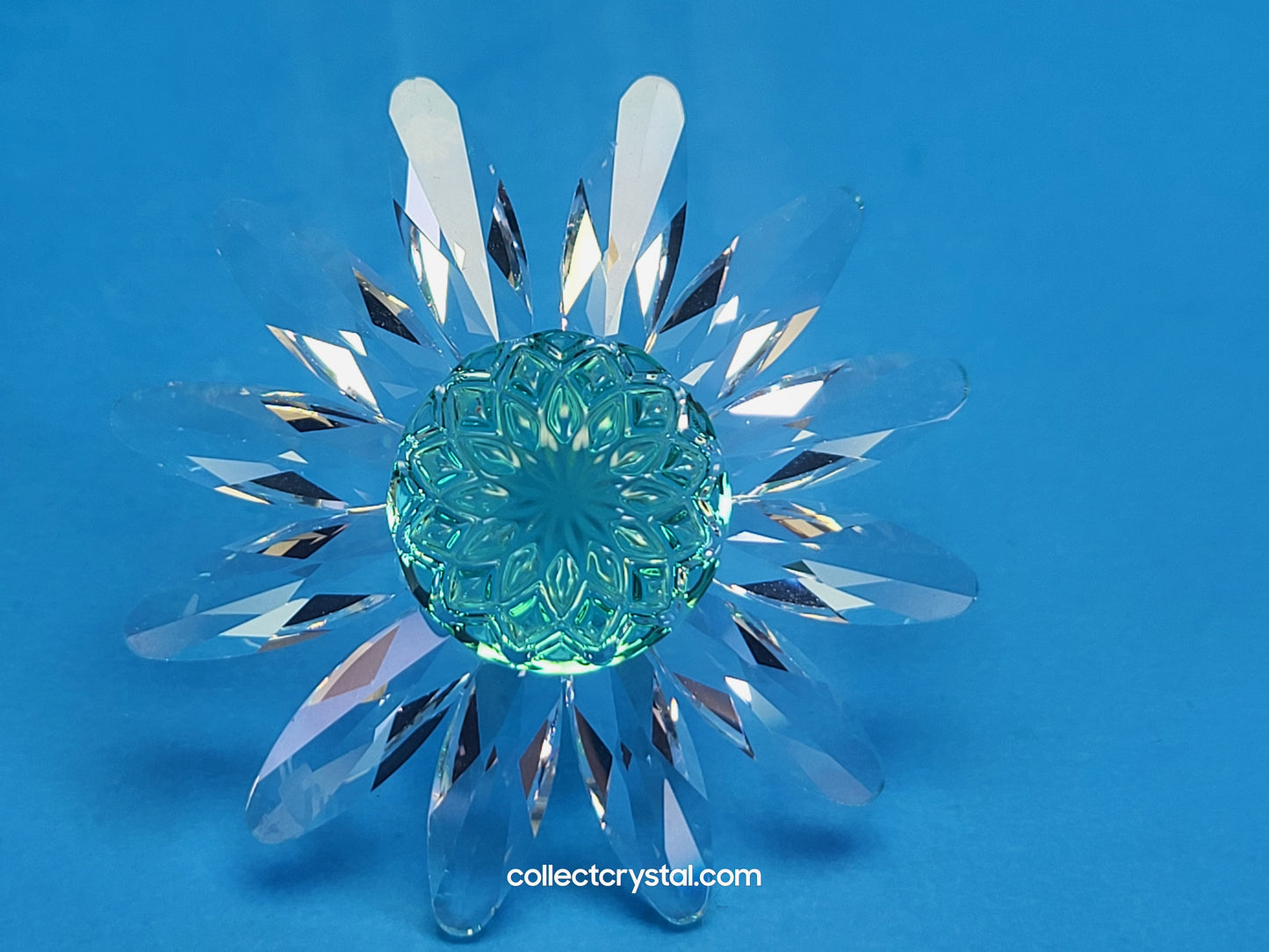 RENEWAL GIFT – MARGUERITE GREEN 227537 cake topper