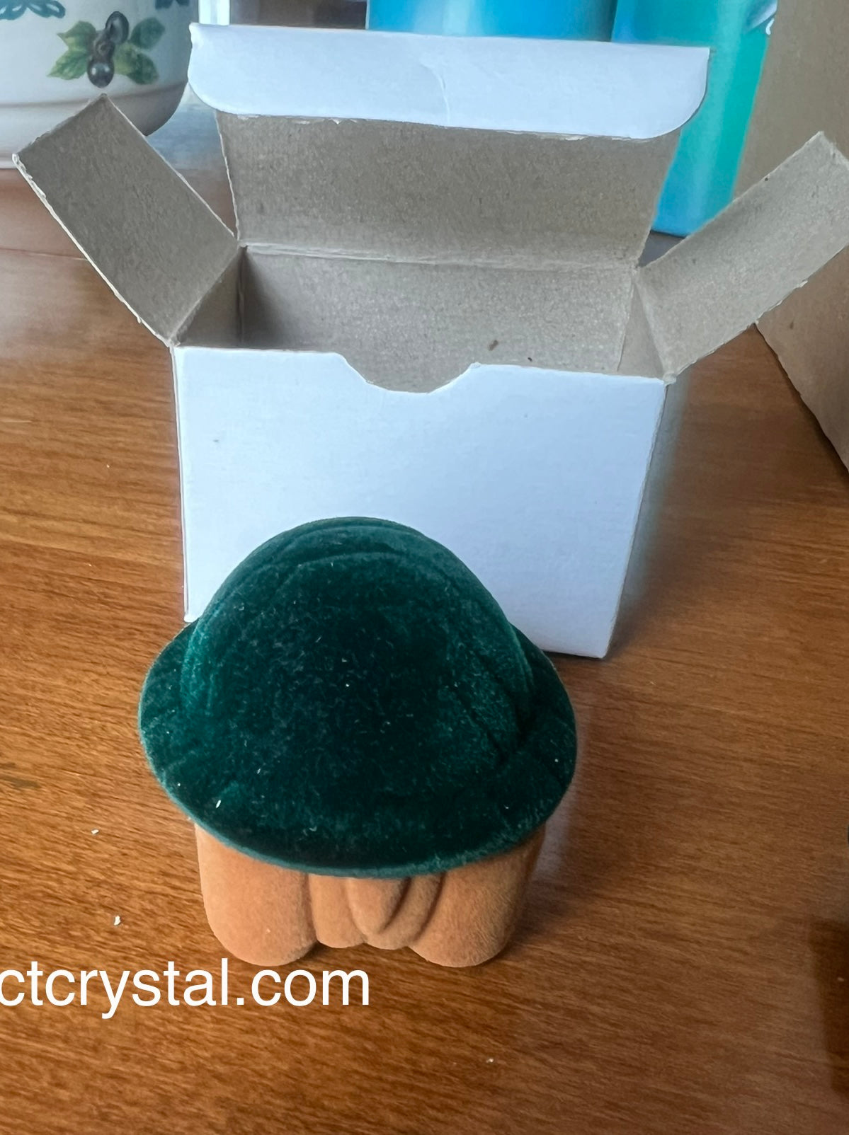 Turtle earrings box