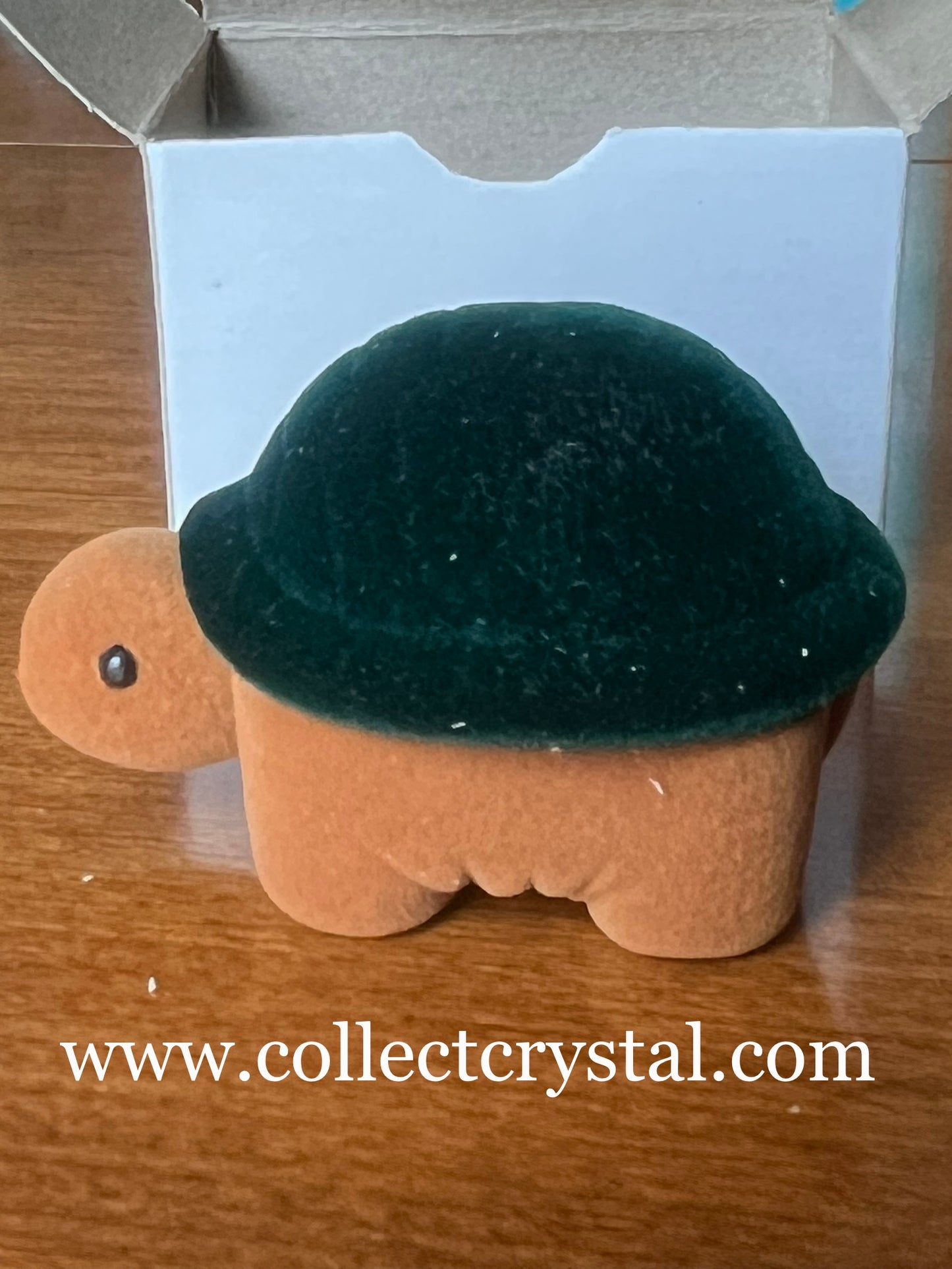 Turtle earrings box
