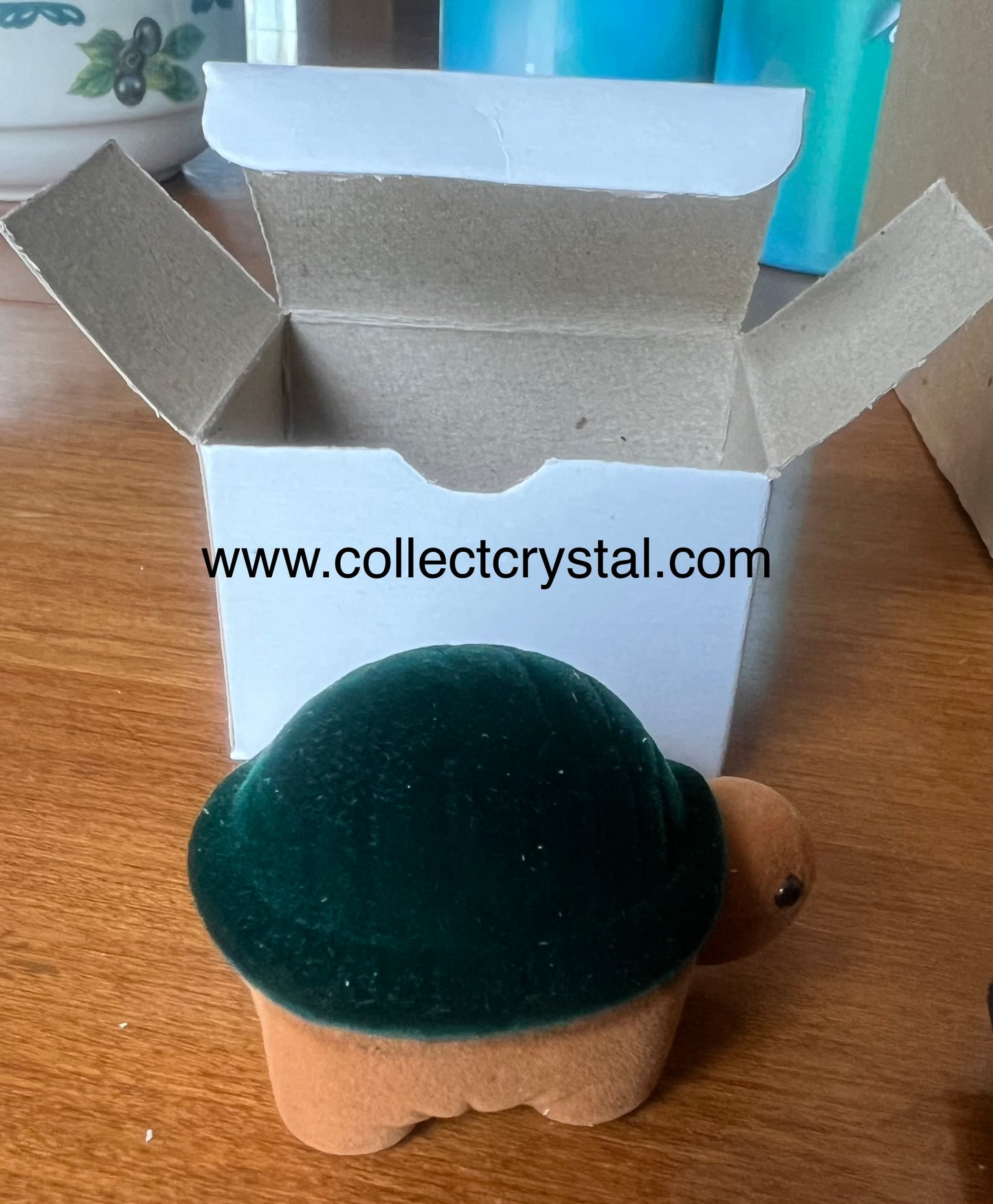 Turtle earrings box