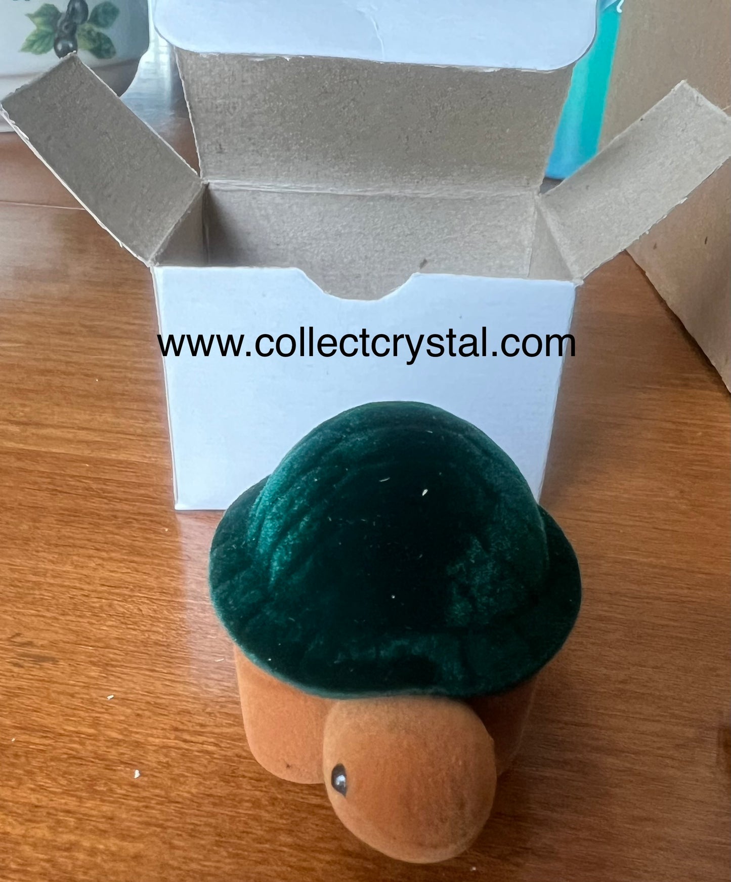 Turtle earrings box