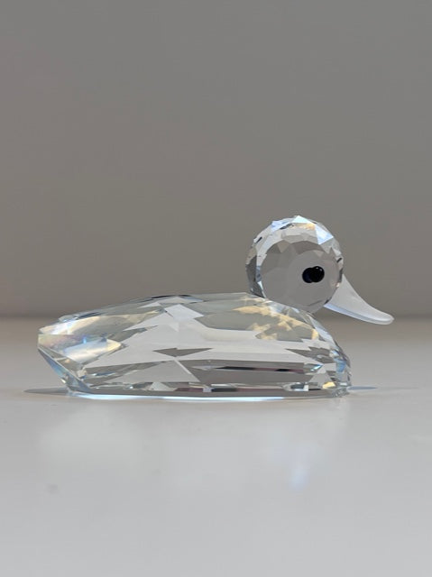 MALLARD DUCK 012723