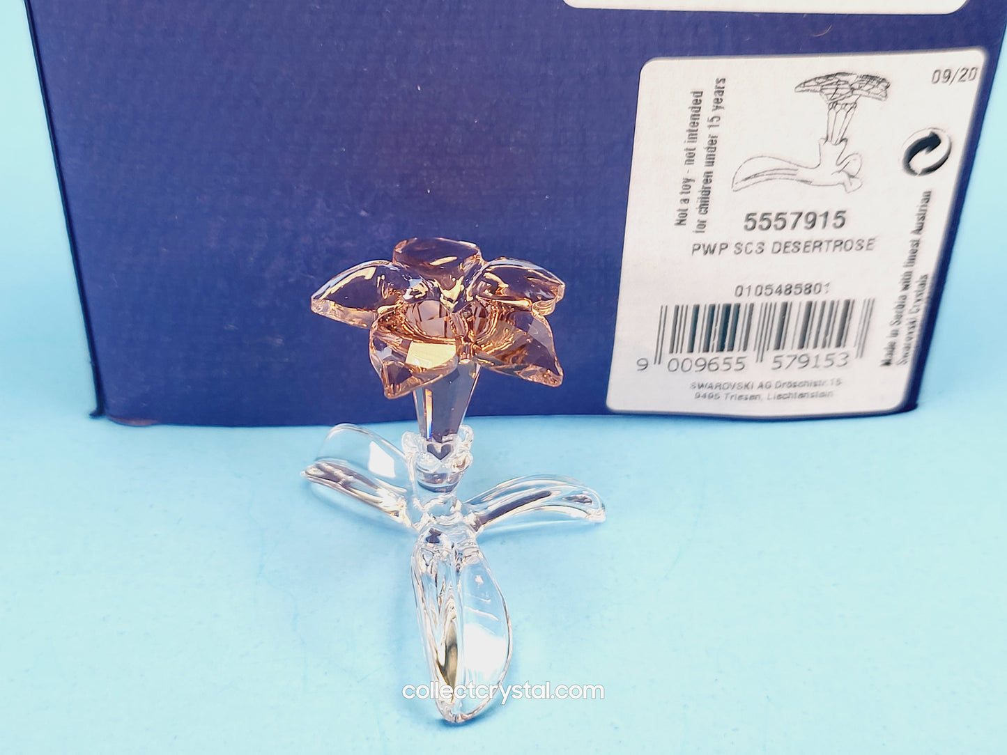SCS Members Desert Rose Flower