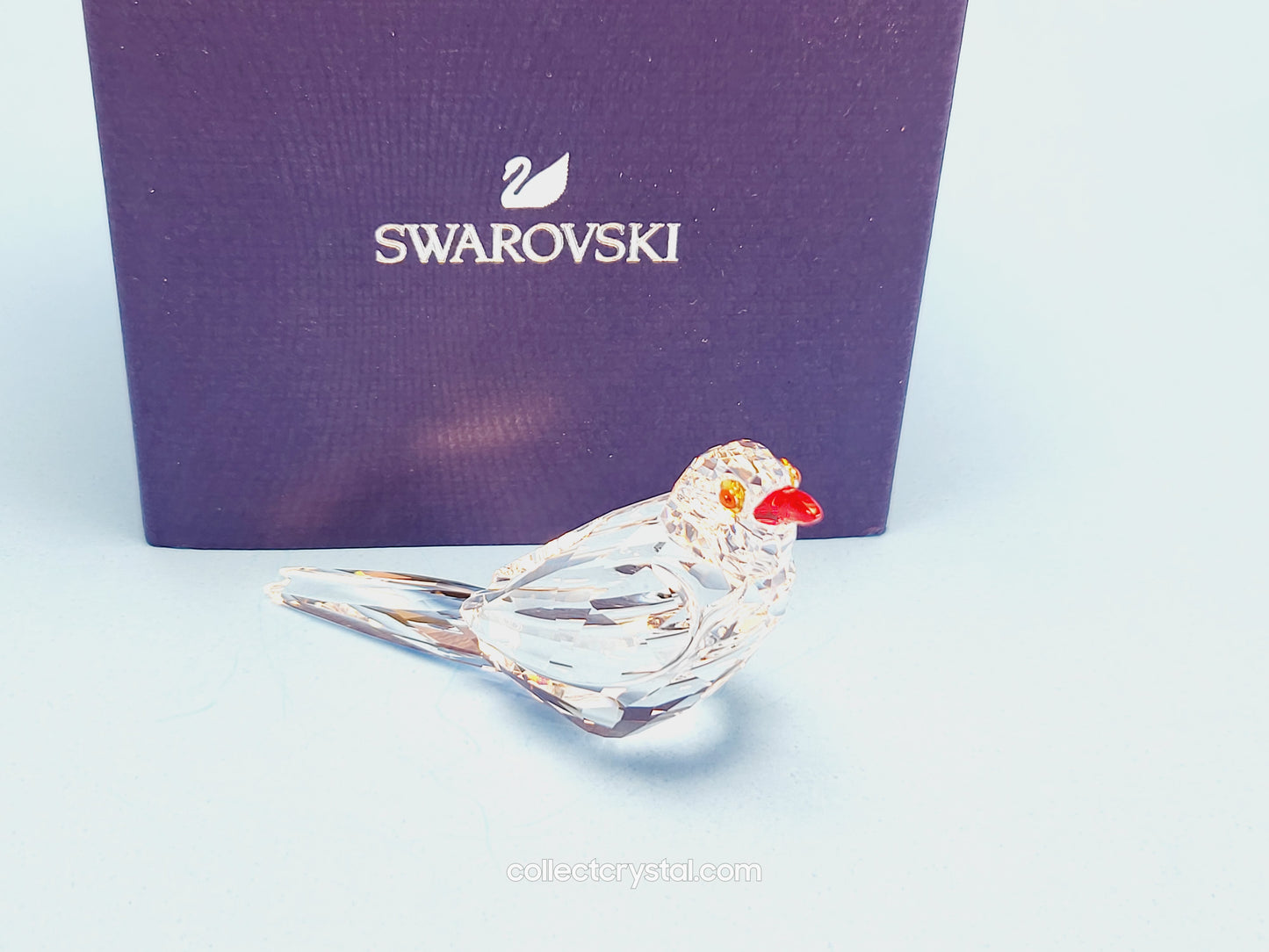 Oxpecker Parrot Bird 2021 ELEGANCE OF AFRICA SCS EVENT OXPECKER KALI 6667831