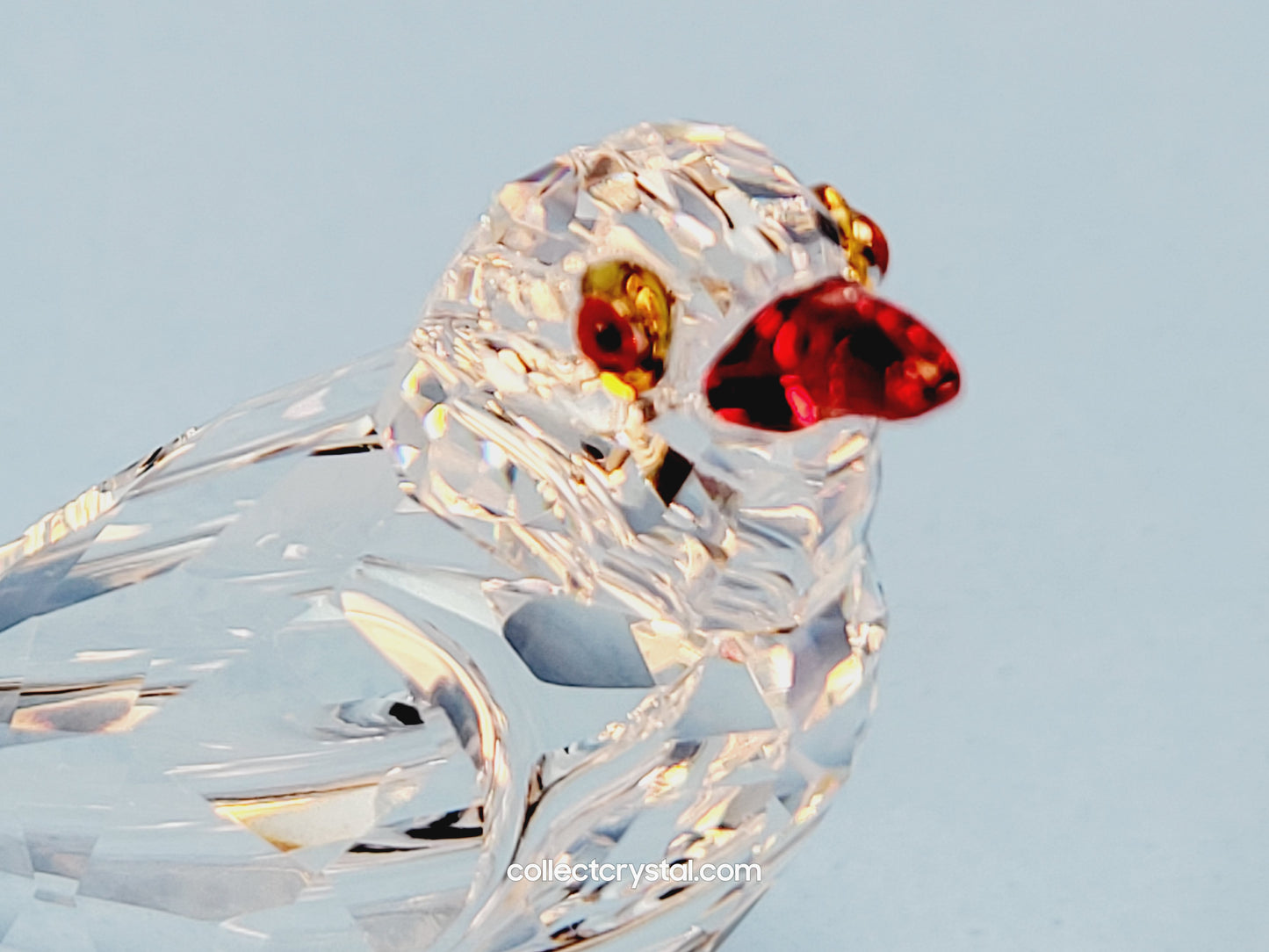 Oxpecker Parrot Bird 2021 ELEGANCE OF AFRICA SCS EVENT OXPECKER KALI 6667831