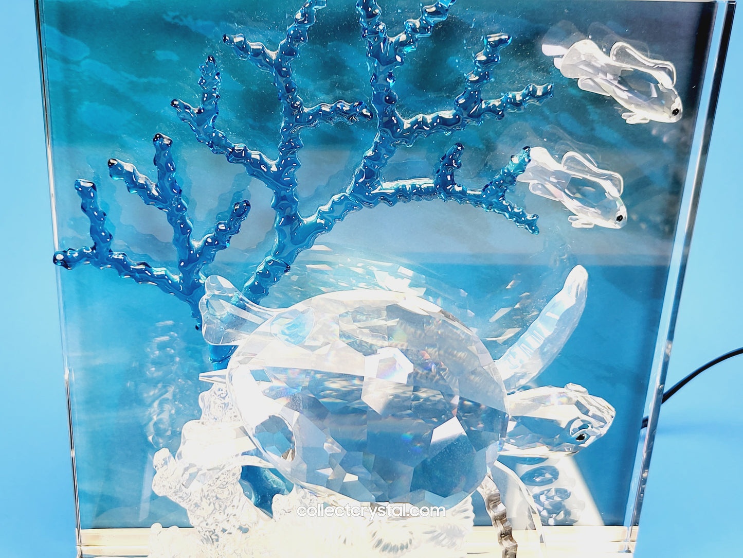 Wonders of the Sea Complete Set ANNUAL EDITION – COLOR Harmony, Eternity & Community