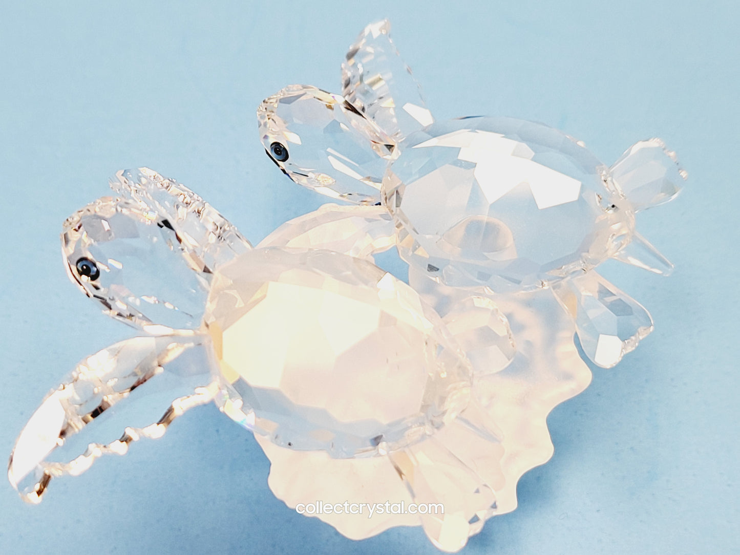 SEA TURTLES Figurines Baby on Coral 826480