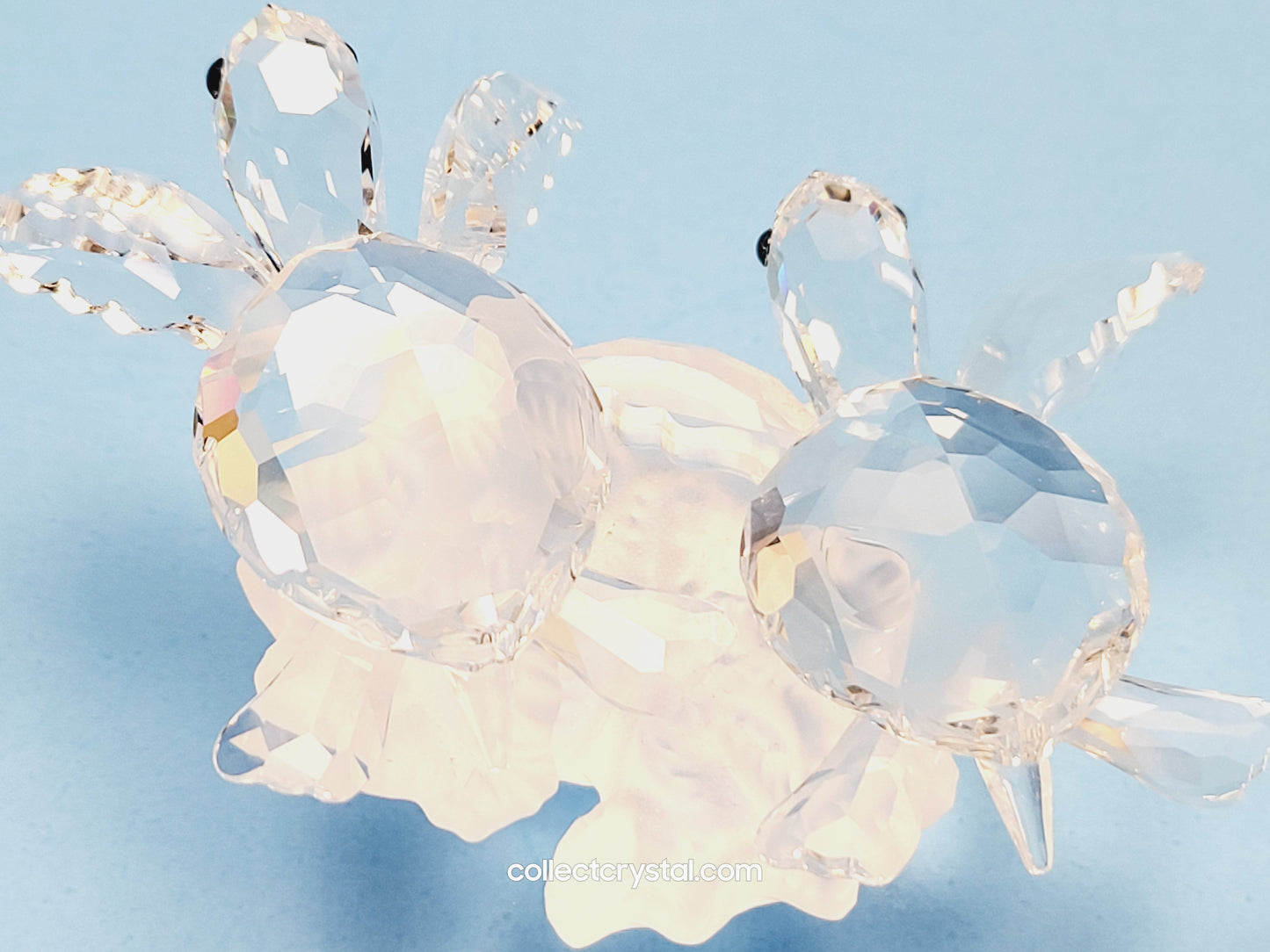 SEA TURTLES Figurines Baby on Coral 826480