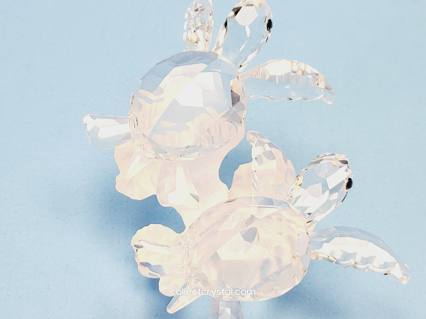 SEA TURTLES Figurines Baby on Coral 826480