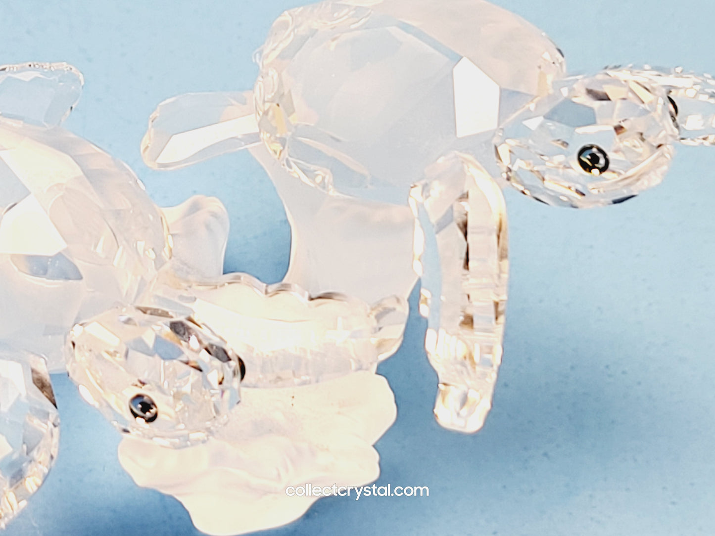 SEA TURTLES Figurines Baby on Coral 826480
