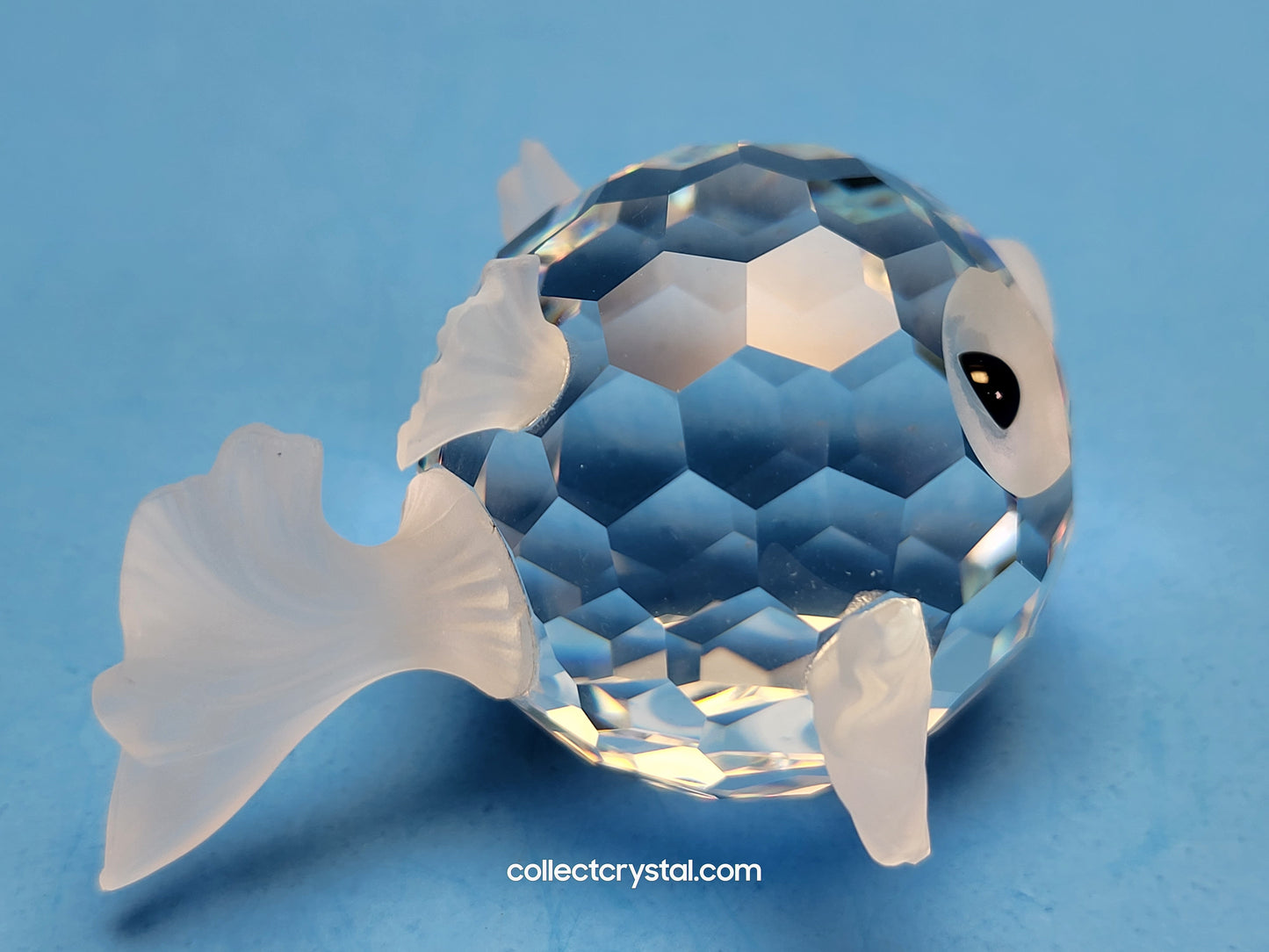 Puffer BlowFish 010013 Large 7644 NR 41
