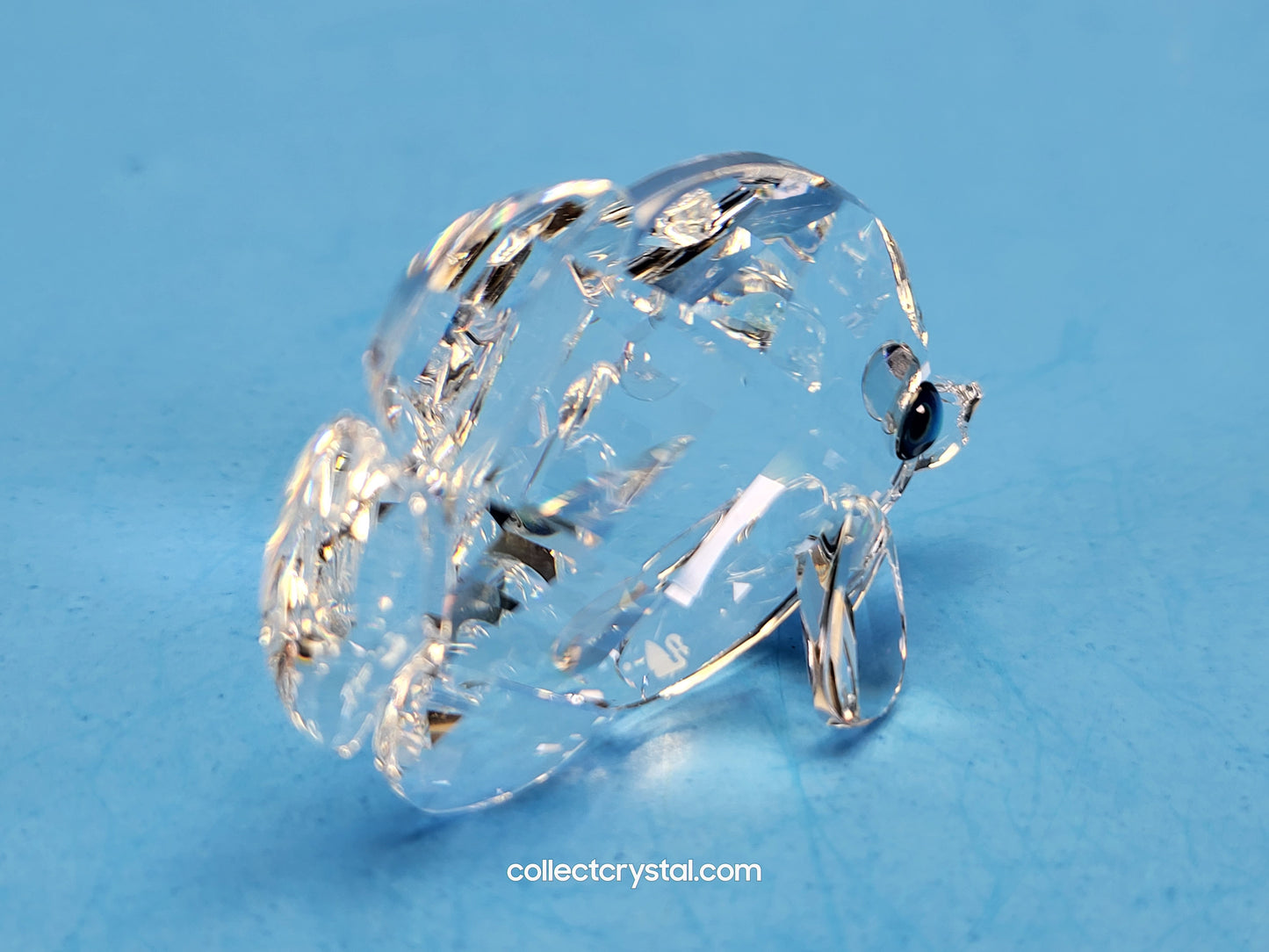 Sea life Butterfly Fish Figurine SMALL 670819