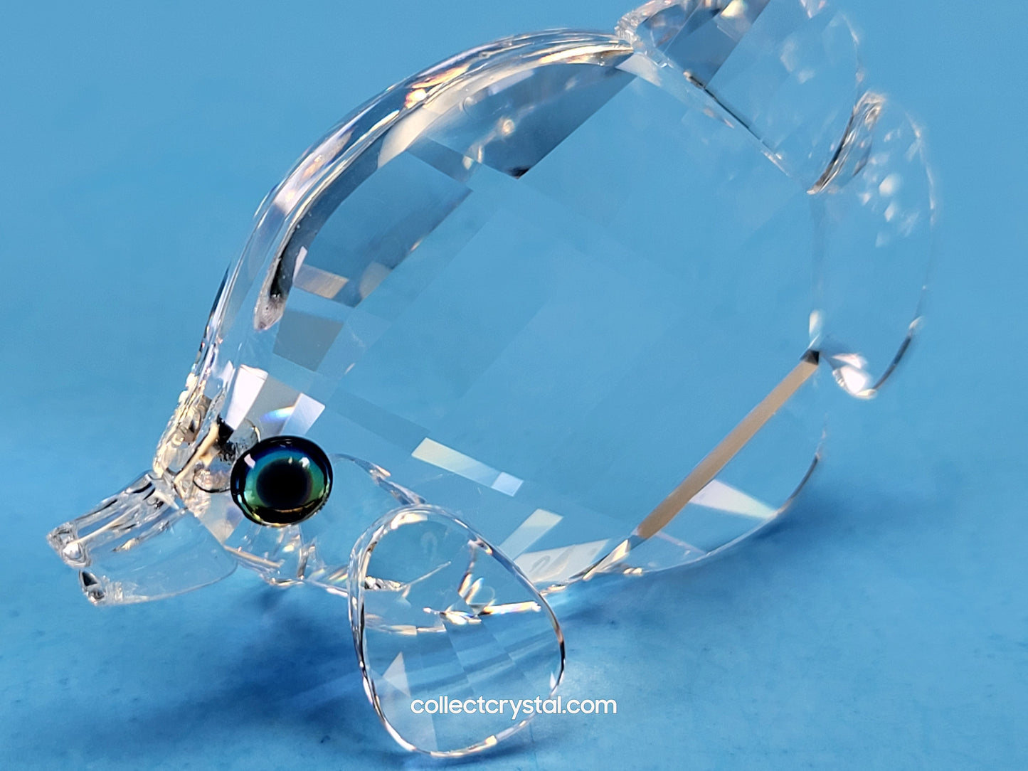 Sea life Butterfly Fish Figurine SMALL 670819