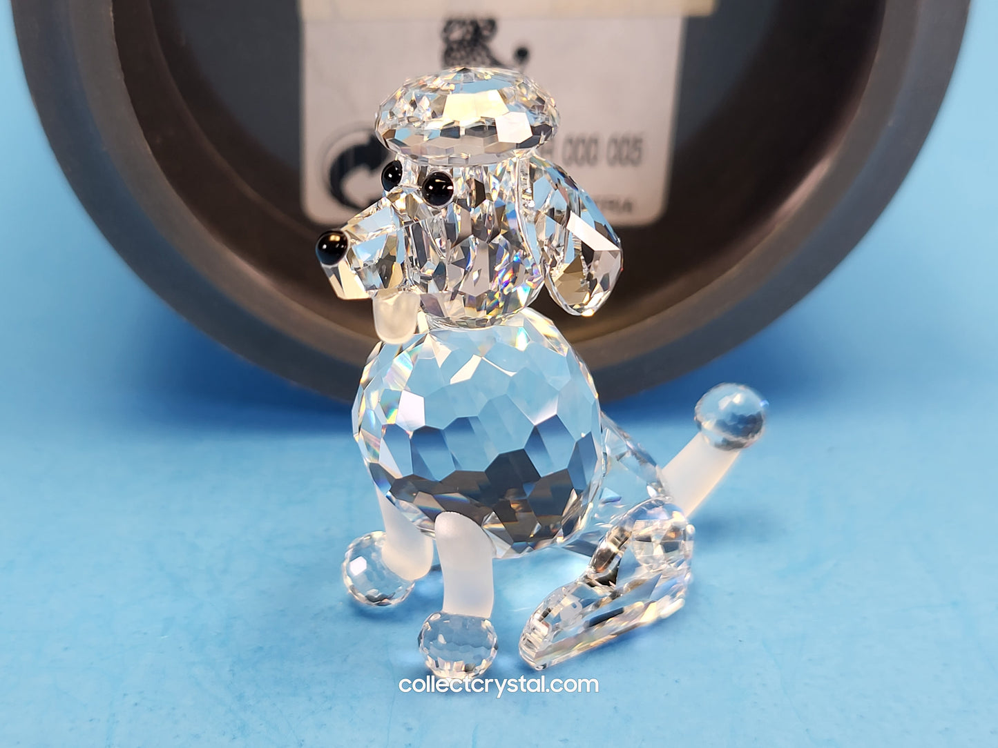 Poodle Dog with frosted tail SITTING 181317