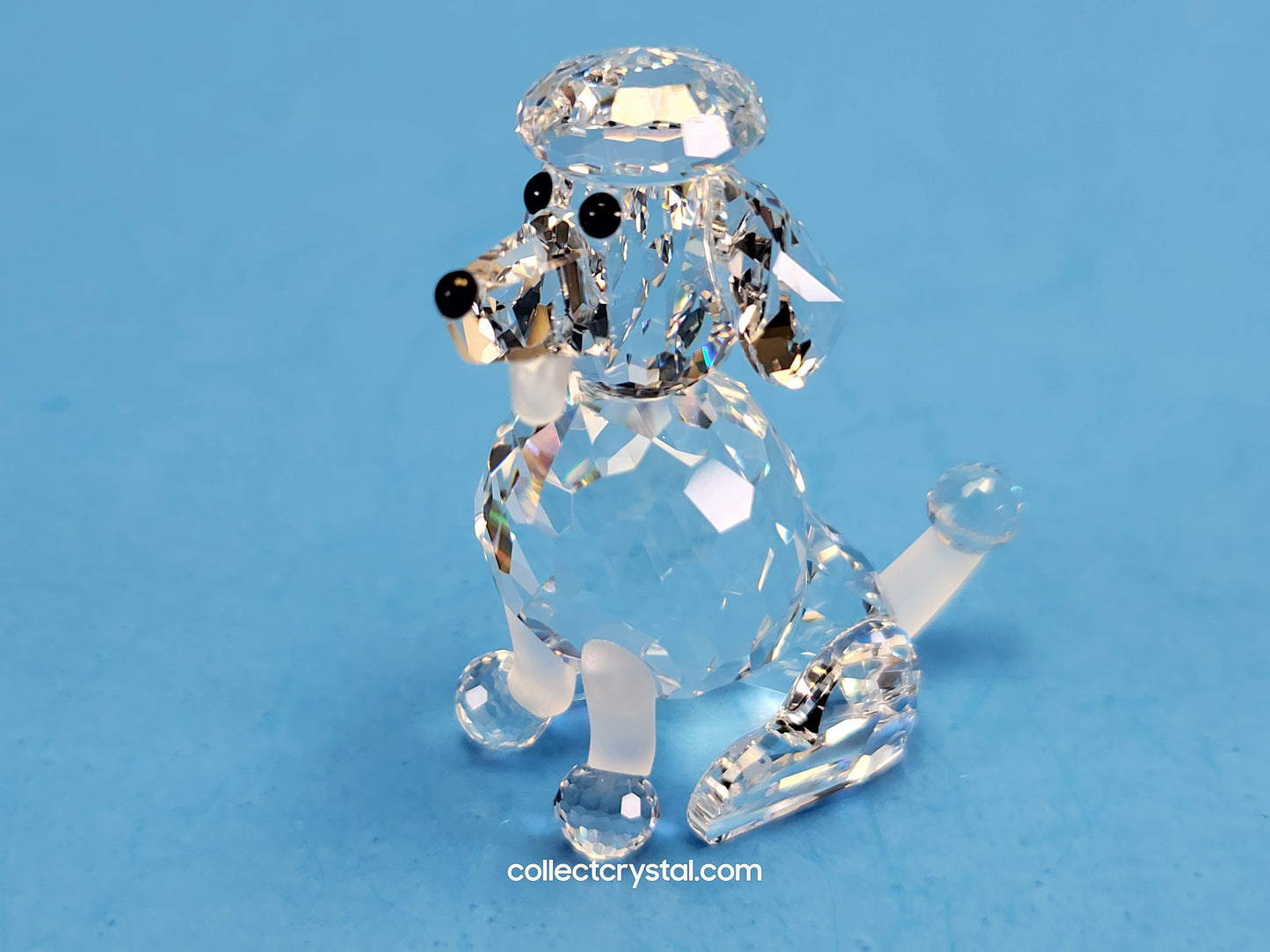 Poodle Dog with frosted tail SITTING 181317