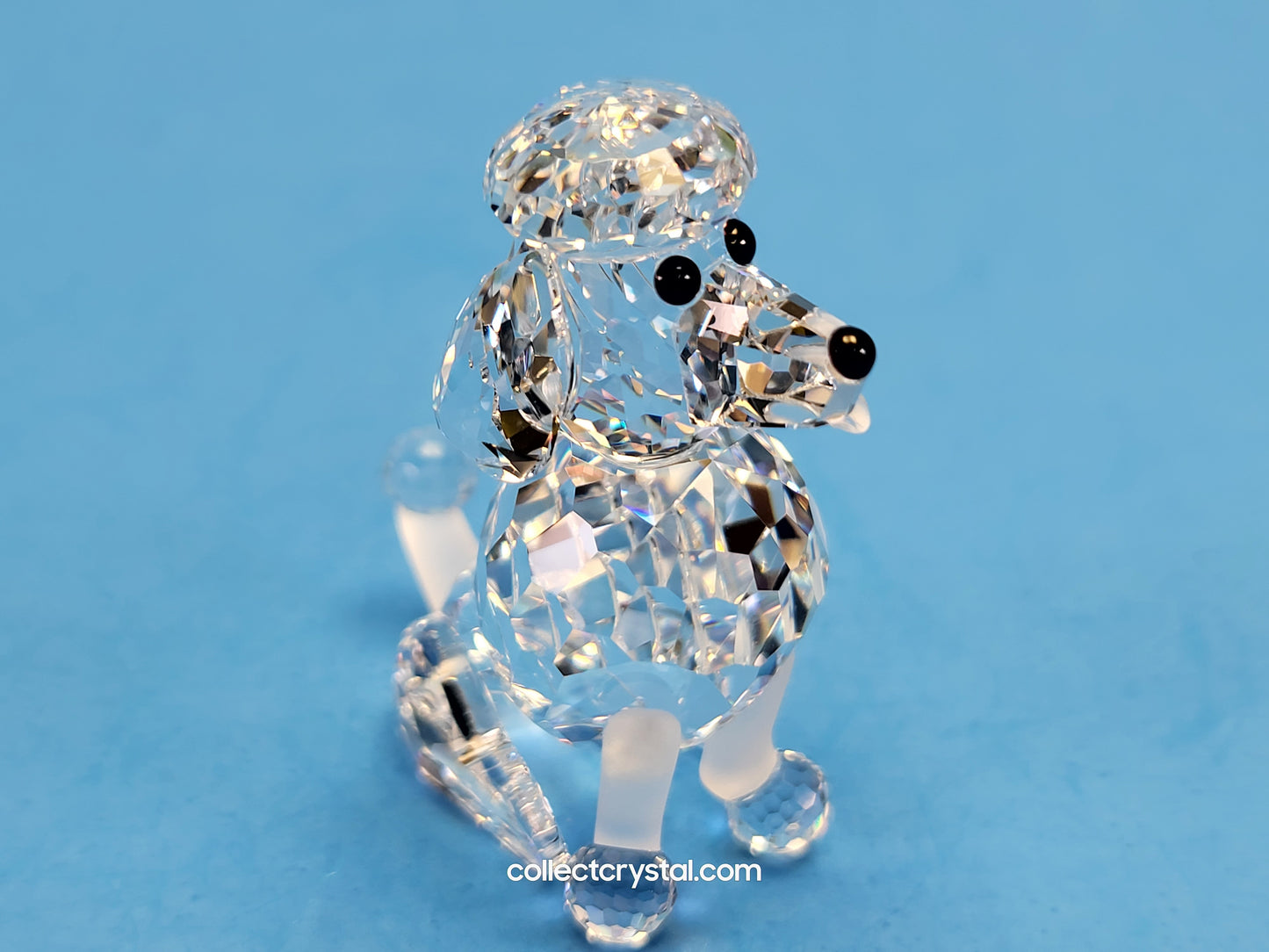 Poodle Dog with frosted tail SITTING 181317