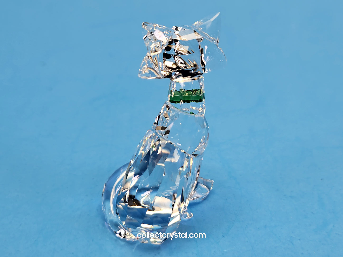 Fox 2019 LOYALTY GIFT – ARCTIC FOX 5488902