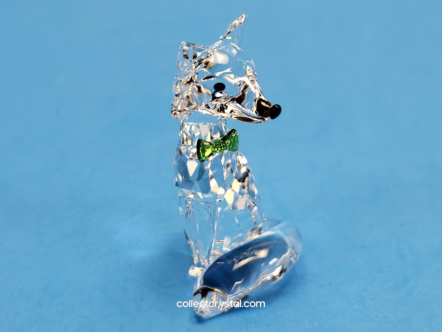 Fox 2019 LOYALTY GIFT – ARCTIC FOX 5488902