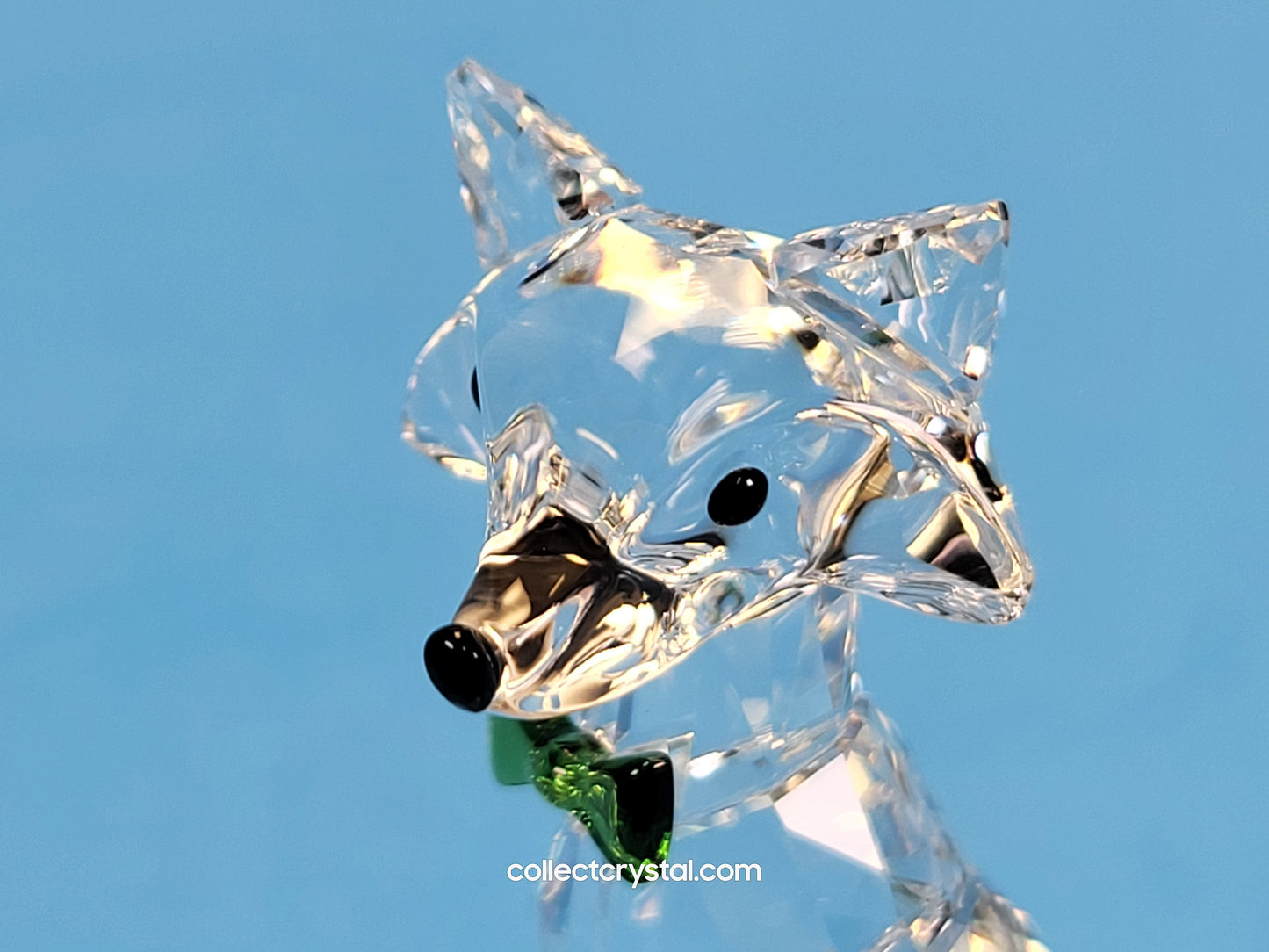 Fox 2019 LOYALTY GIFT – ARCTIC FOX 5488902