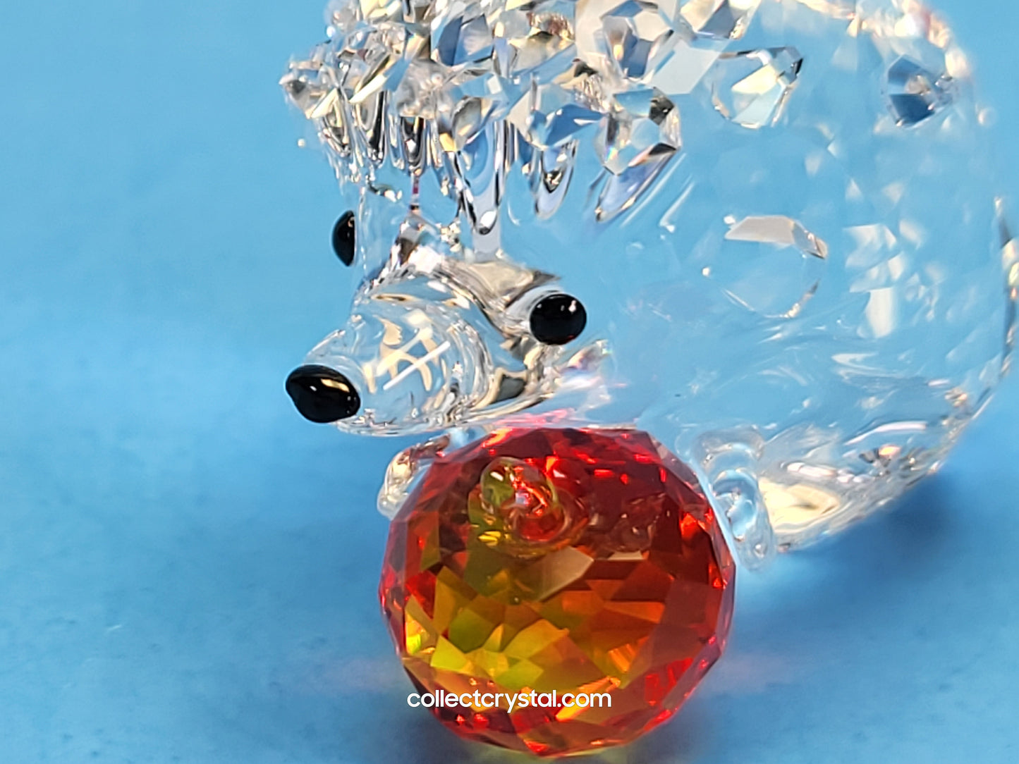 Hedgehog holding an Apple 5532203