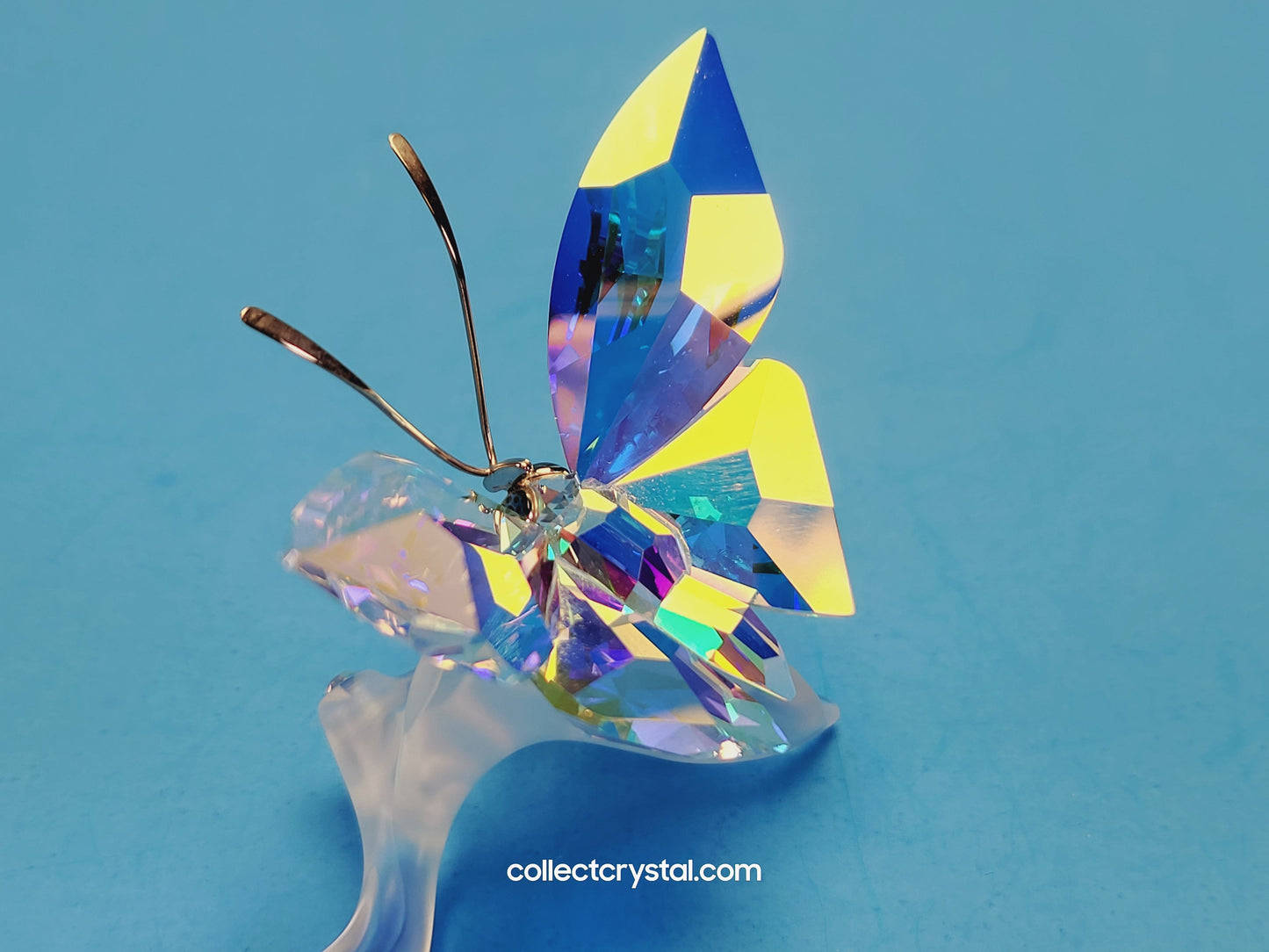 BUTTERFLY SPARKLING / SPARKLING BUTTERFLY ON LEAF Figurine 1113559