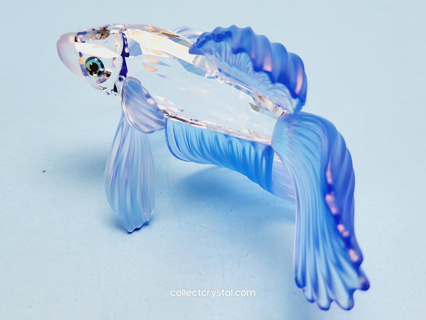 SIAMESE FIGHTING FISH Figurine BLUE Beta 236718