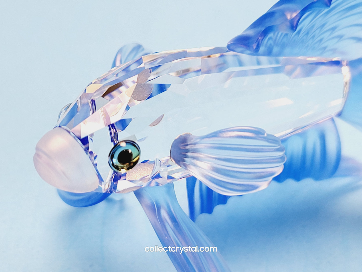 SIAMESE FIGHTING FISH Figurine BLUE Beta 236718