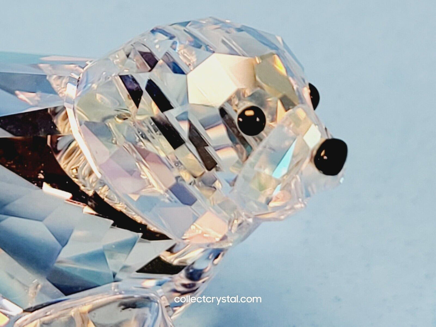 Baby Seal Event Piece Figurine 2012 Society SCS 1096748