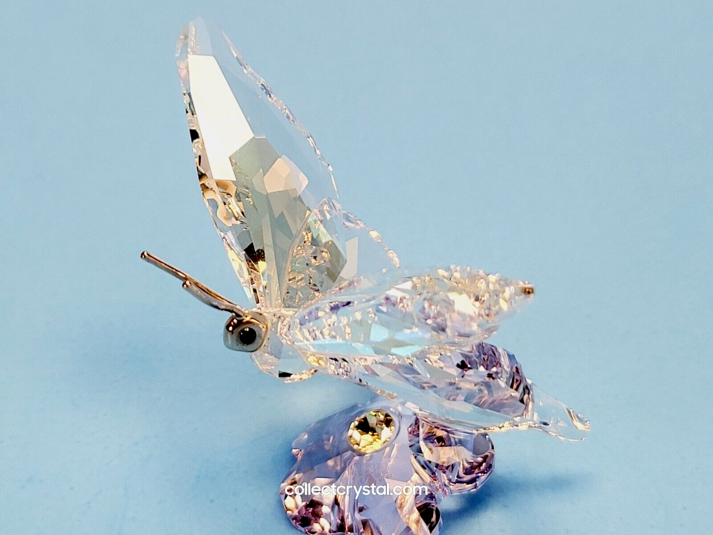 SCS Butterfly On Purple Flower 2013 Event Piece 1142859