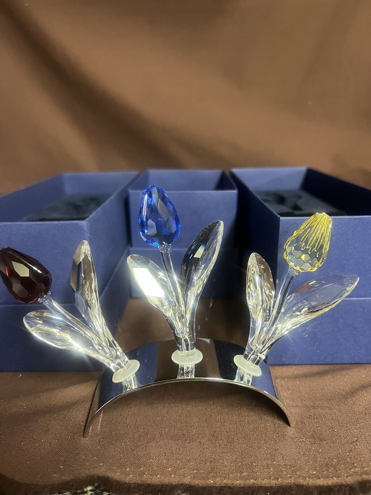Flowers Renewal Gift Red, Blue, Yellow, + 9 Mini Tulips & Display Mib