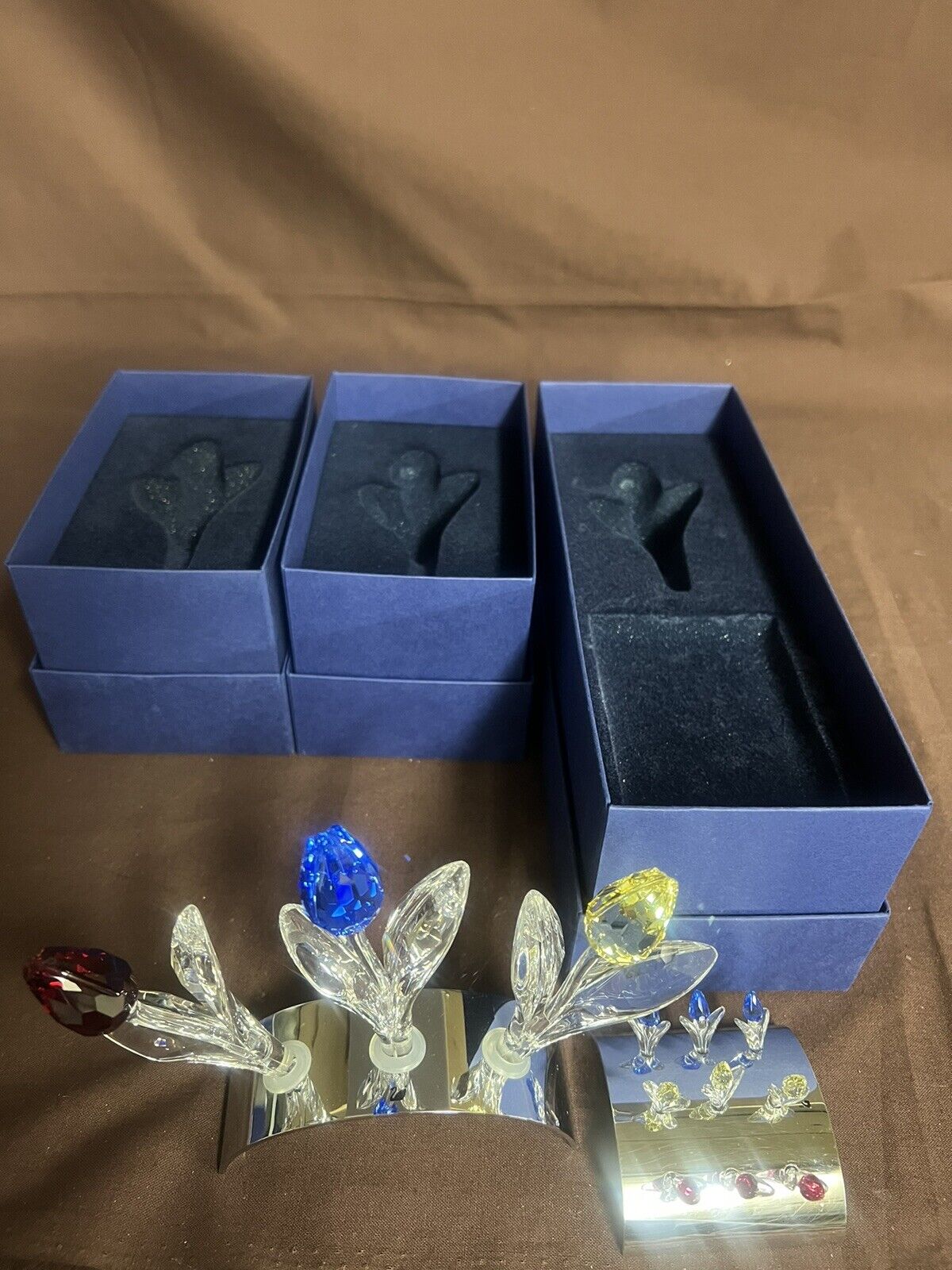 Flowers Renewal Gift Red, Blue, Yellow, + 9 Mini Tulips & Display Mib