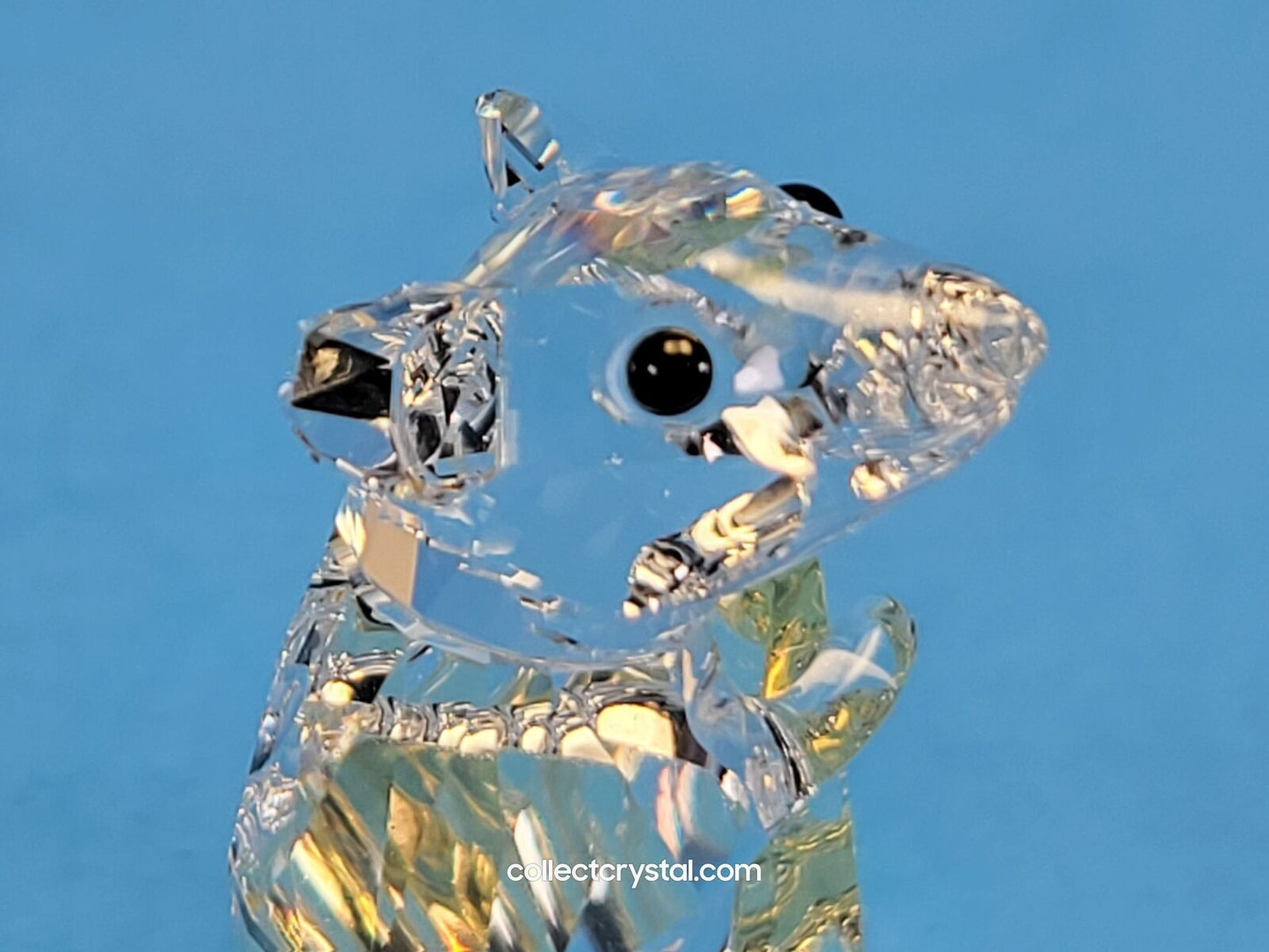 MOUSE WITH CHEESE 2019 ISSUED 5464939