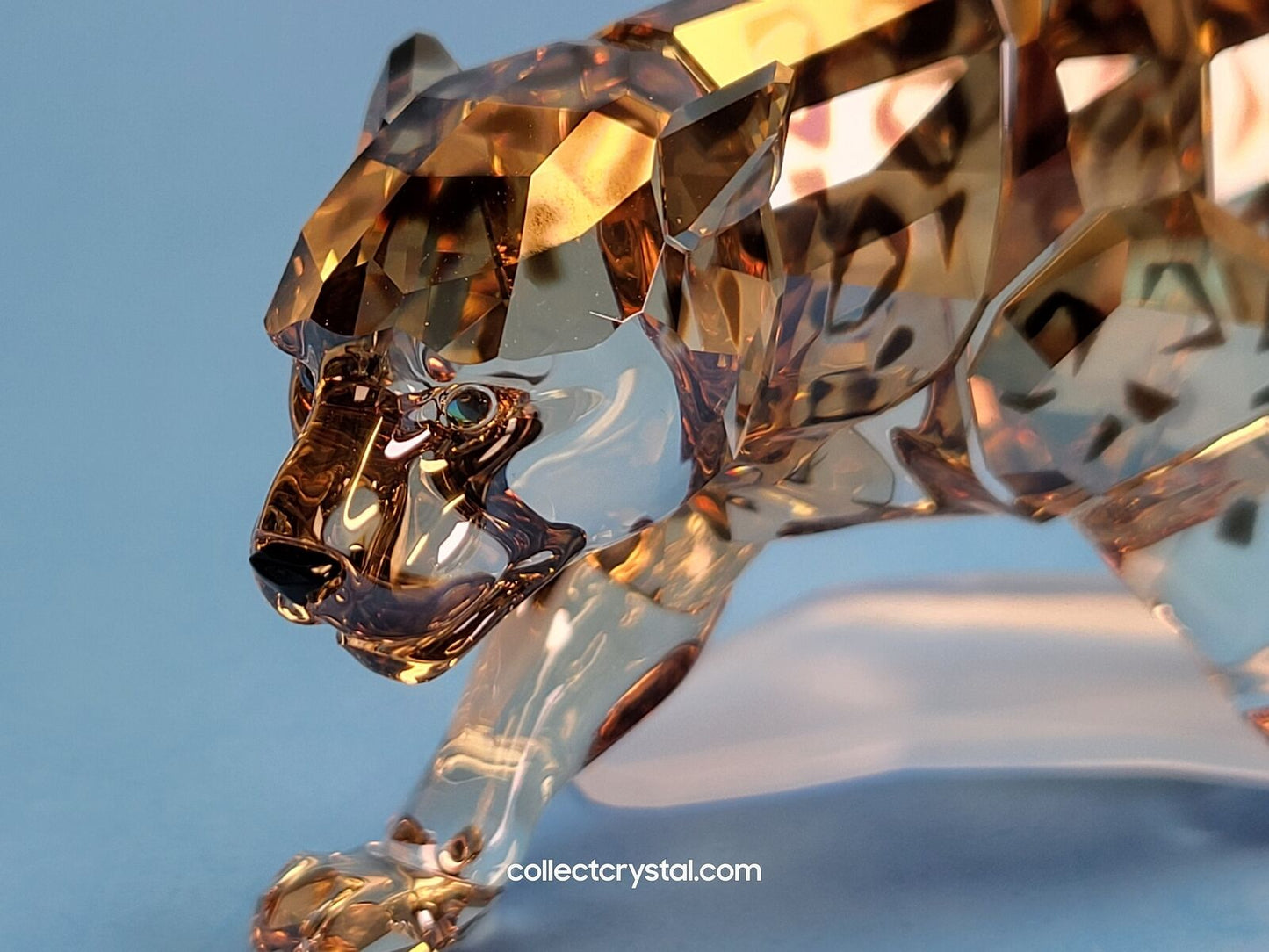 Wildlife Jaguar - Golden Shine 1096796